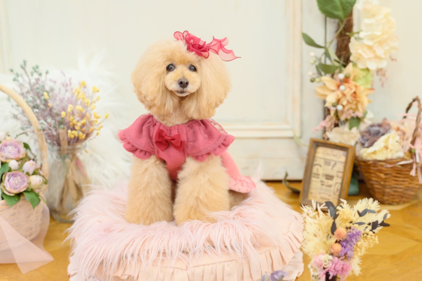 きゃんくまパフスリーブワンピース