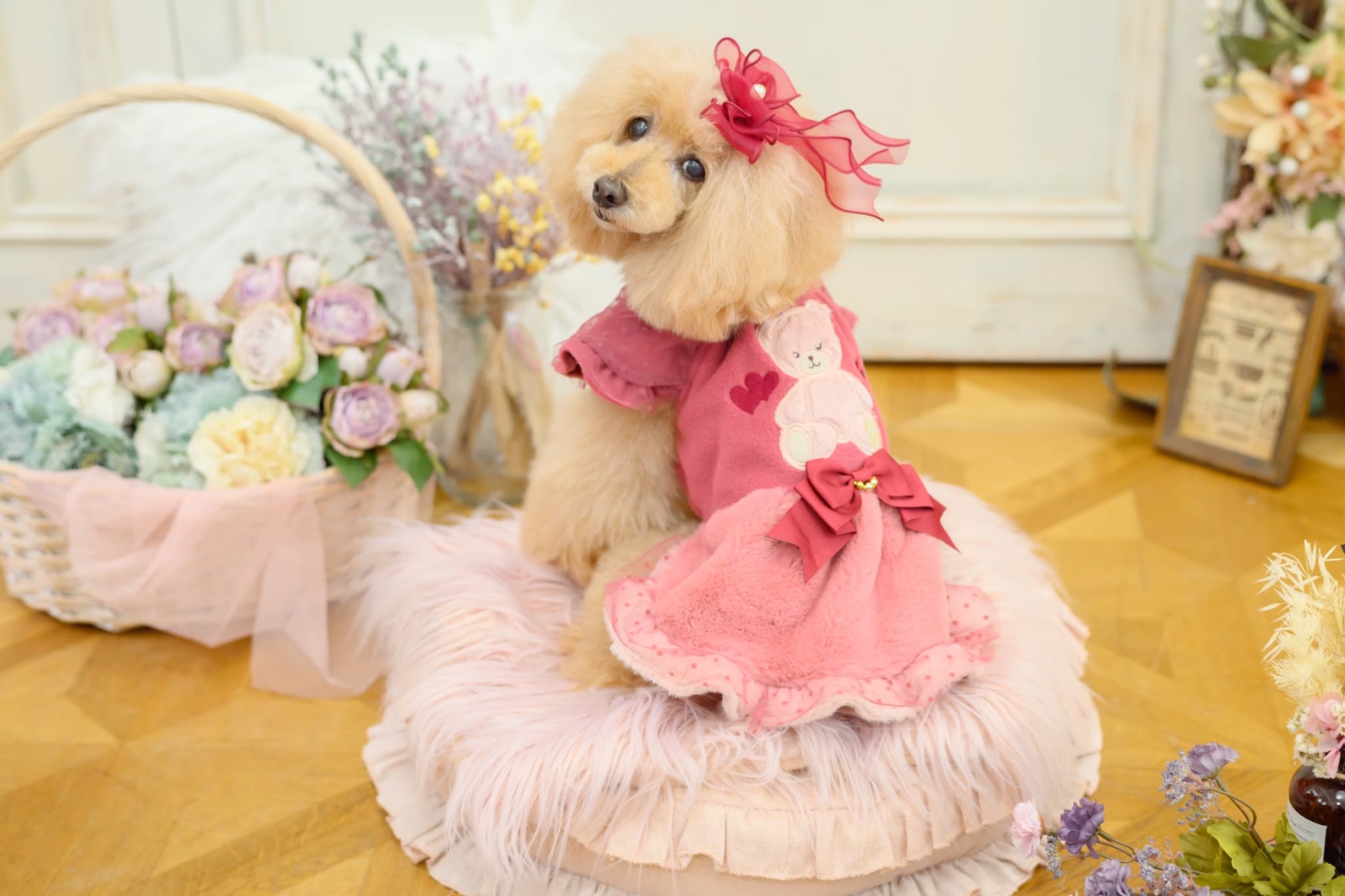 きゃんくまパフスリーブワンピース