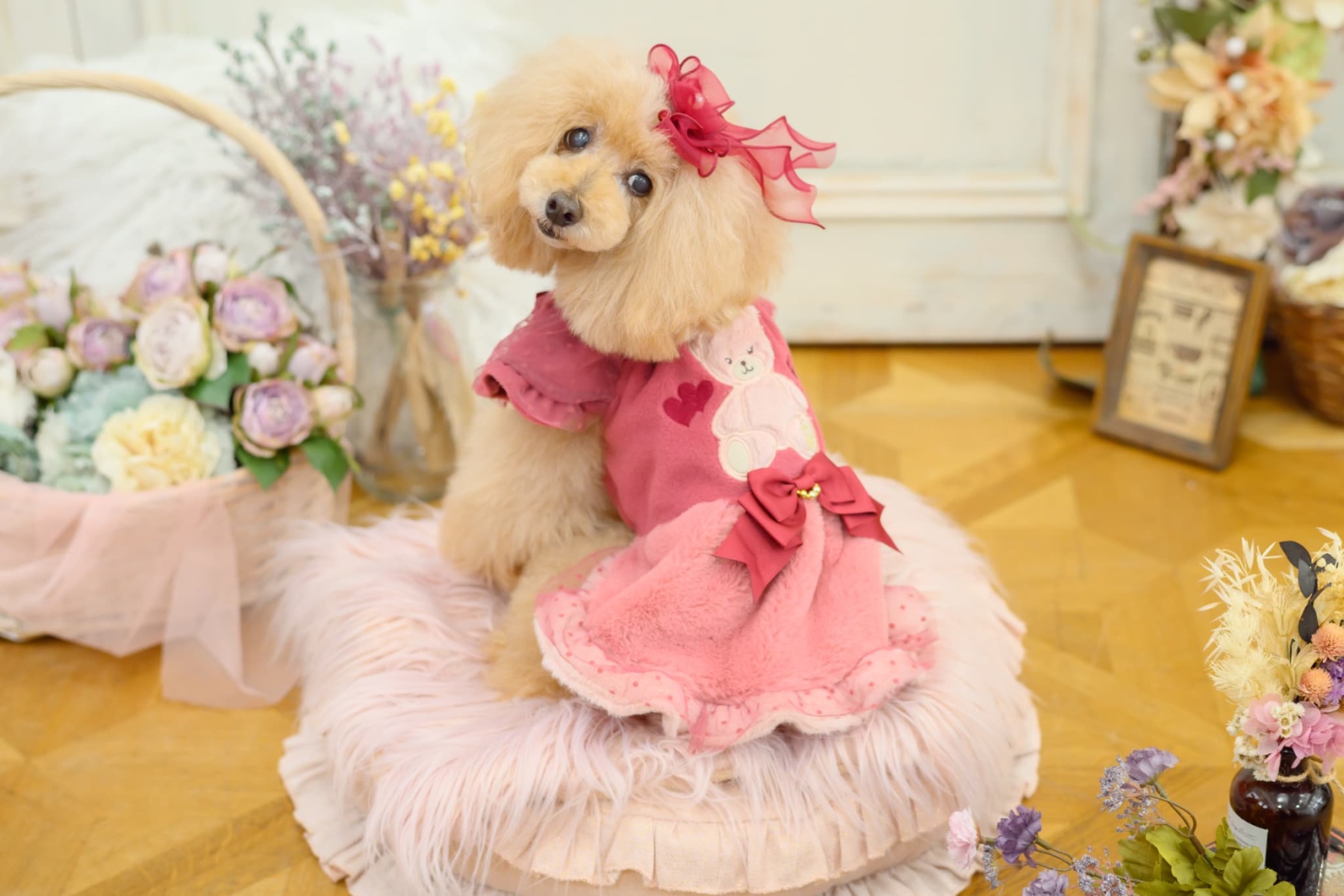 きゃんくまパフスリーブワンピース