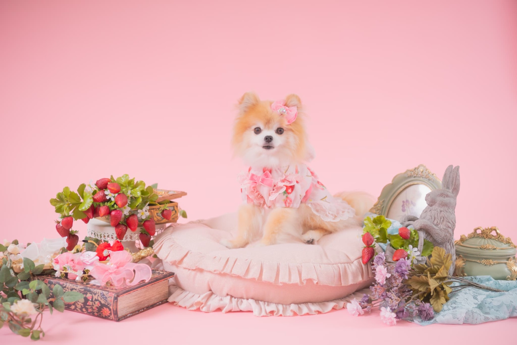 冬いちごうさ耳ワンピース