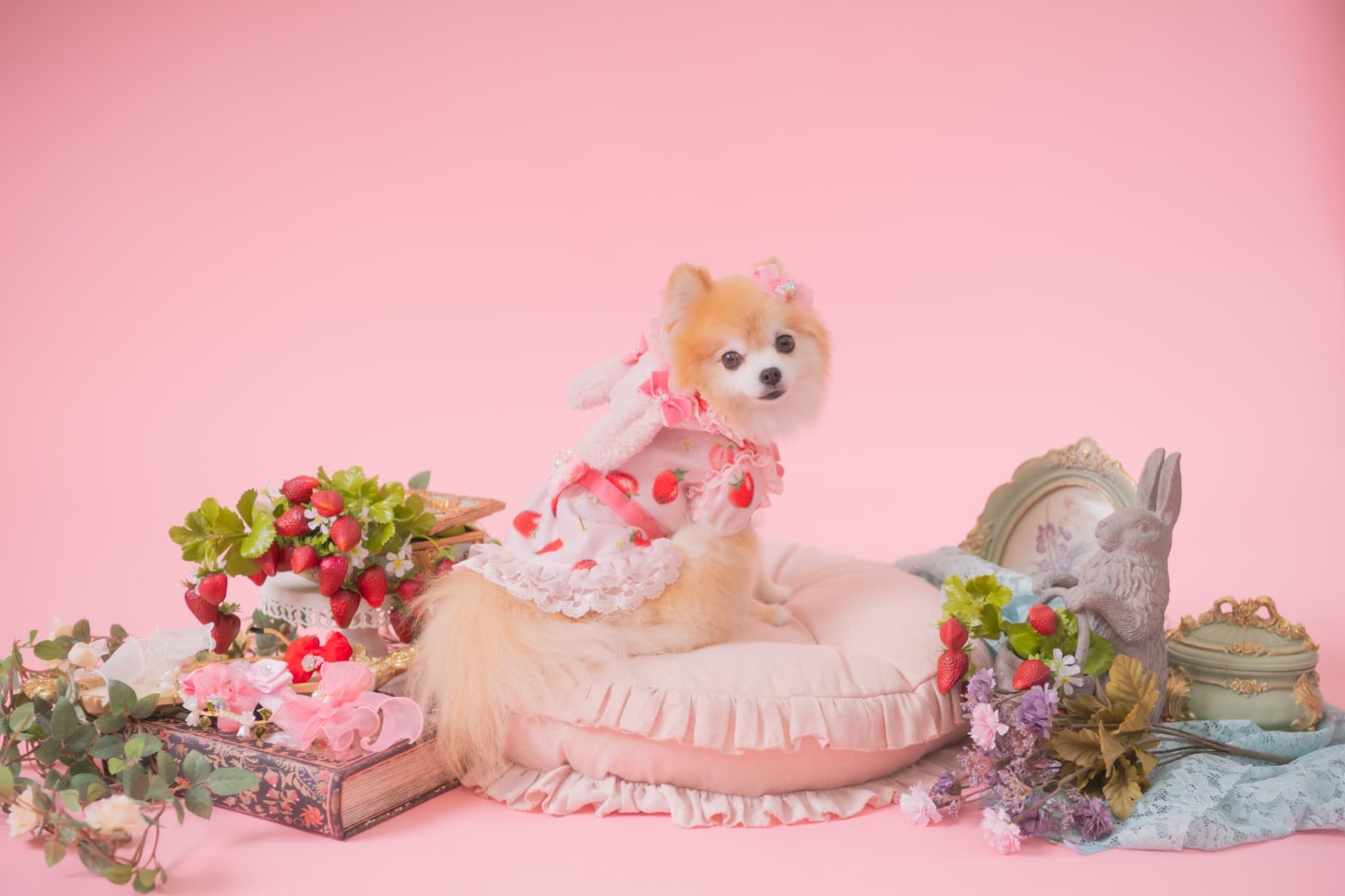 冬いちごうさ耳ワンピース