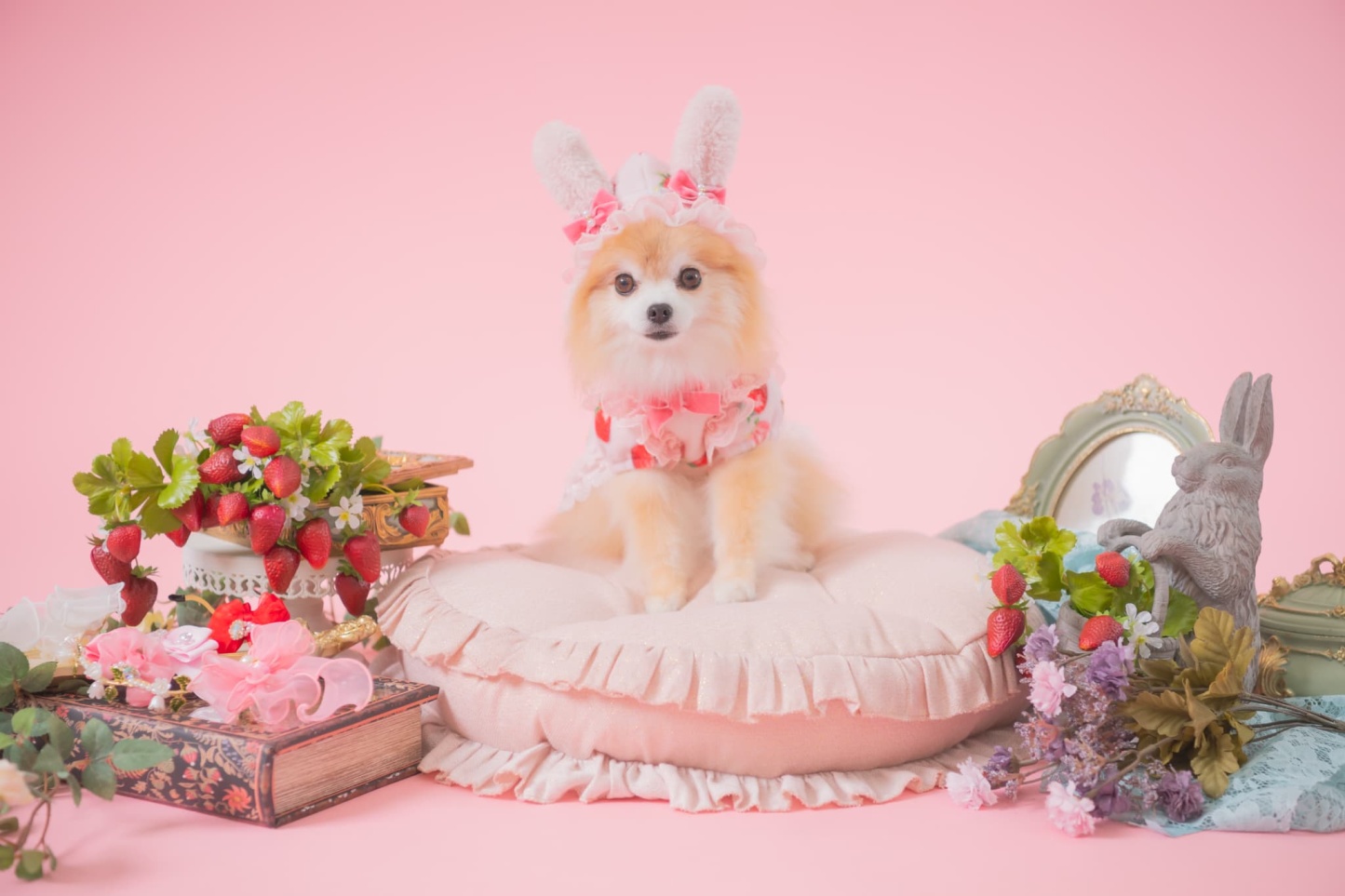 冬いちごうさ耳ワンピース