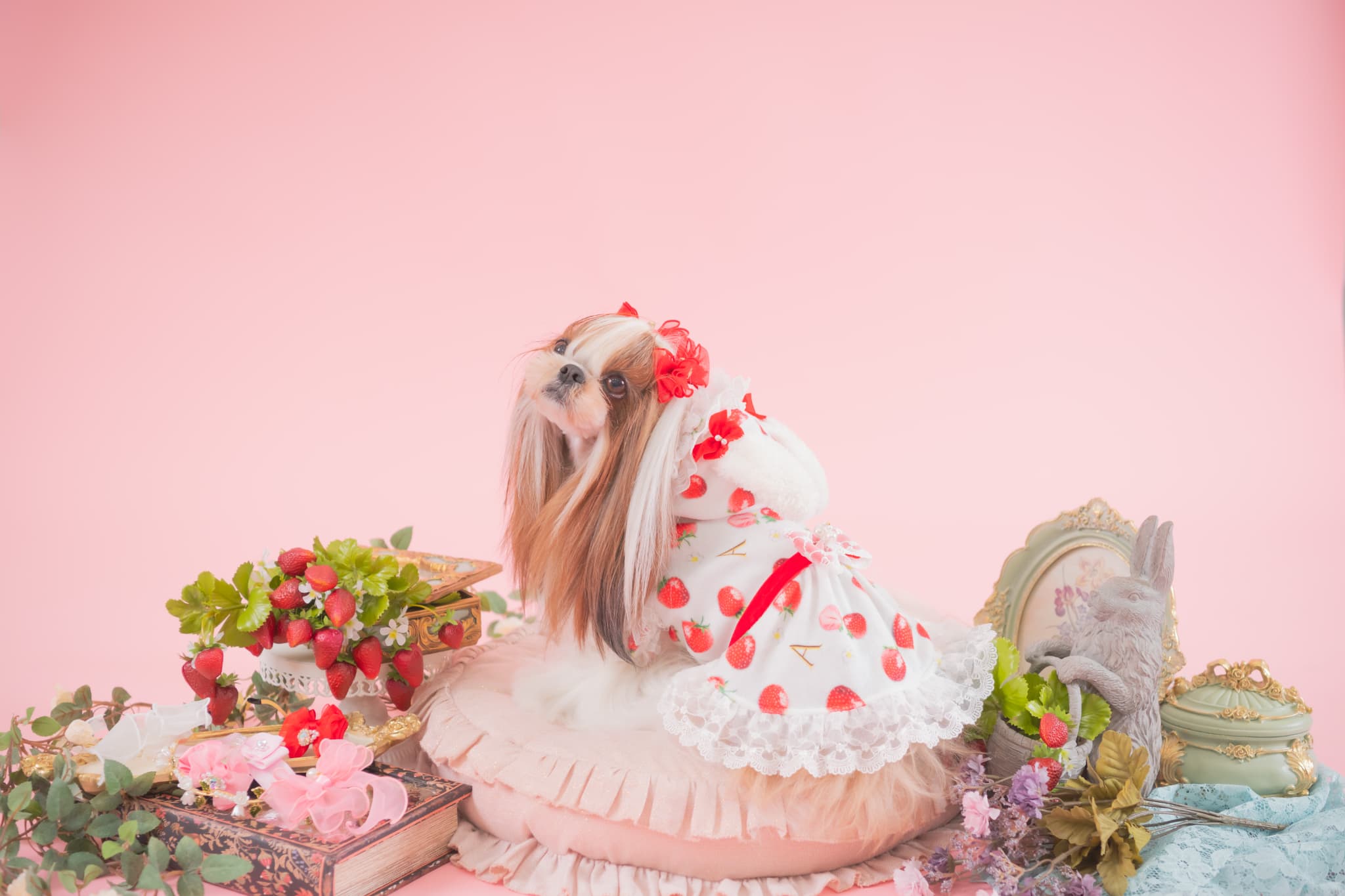 きゃんナナ　冬いちごデコレーションワンピース　ホワイト　L きゃんナナ 冬いちごデコレーションワンピース ホワイト L 冬いちご