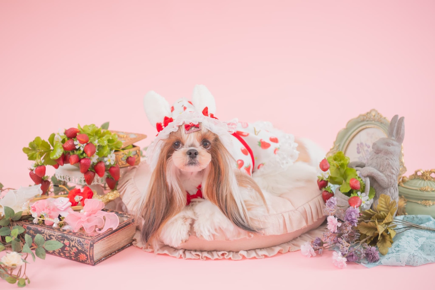 冬いちごうさ耳ワンピース