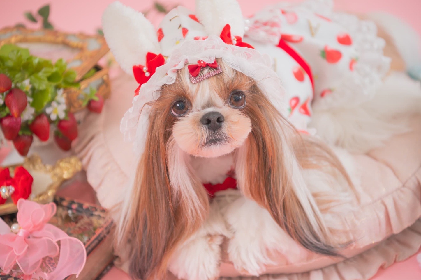 冬いちごうさ耳ワンピース