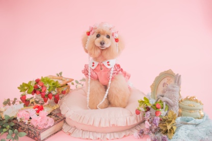 冬いちごスウィートワンピース