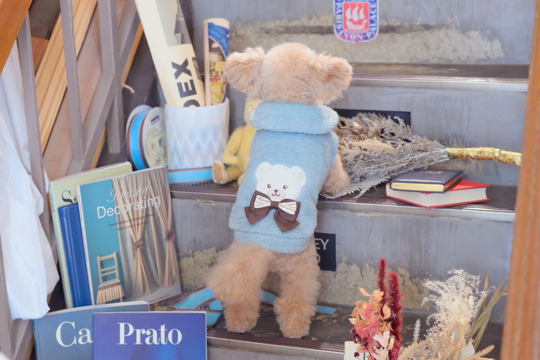 1172くまリボンボアジャケット