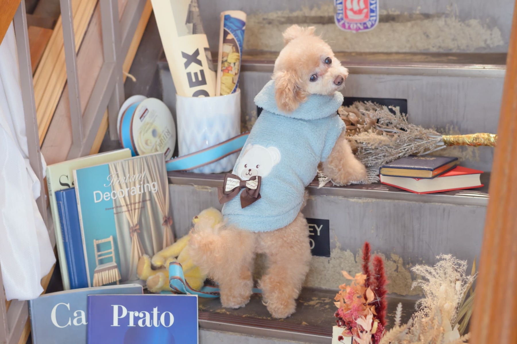 1172くまリボンボアジャケット