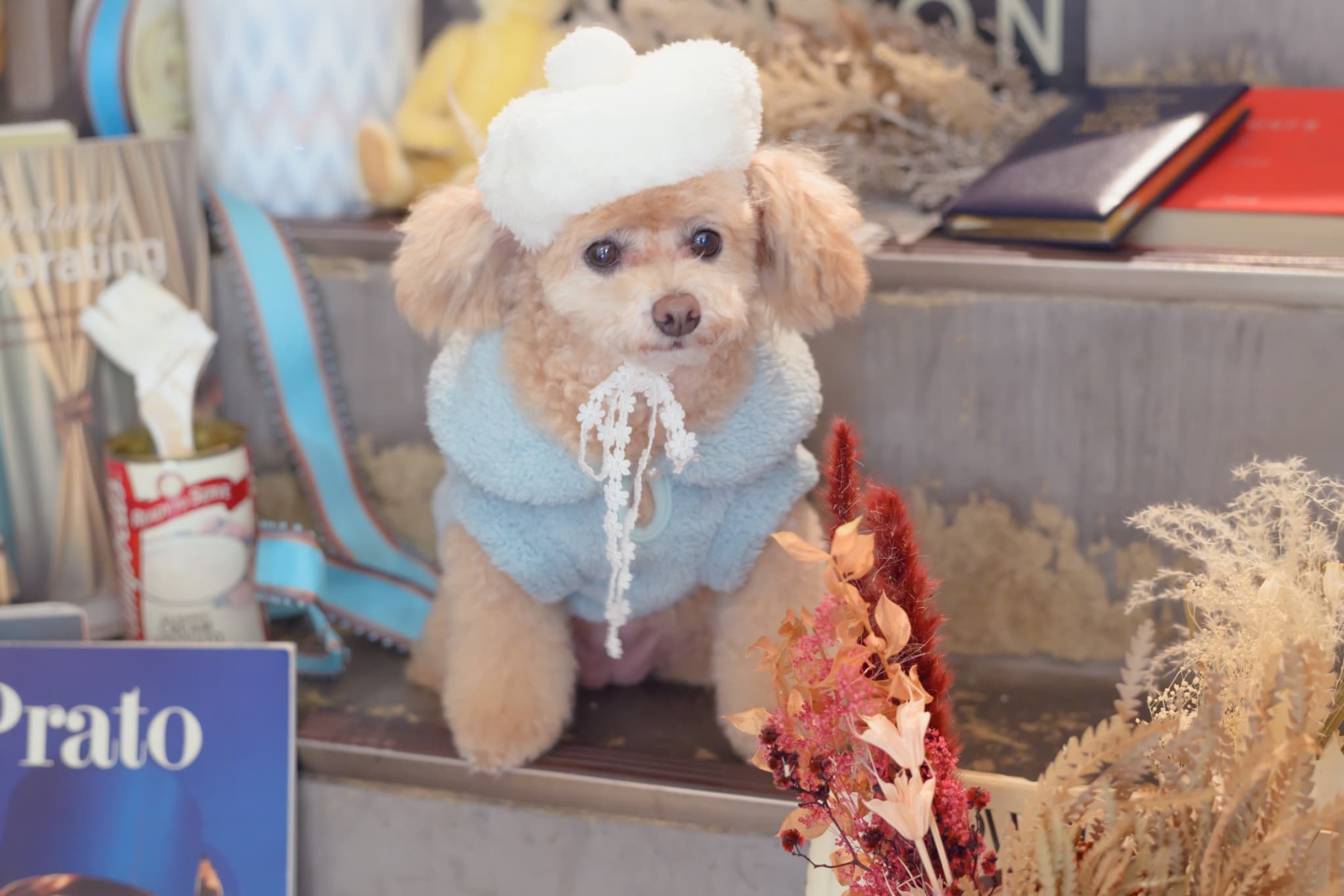 LH-015 ふわもこベレー帽