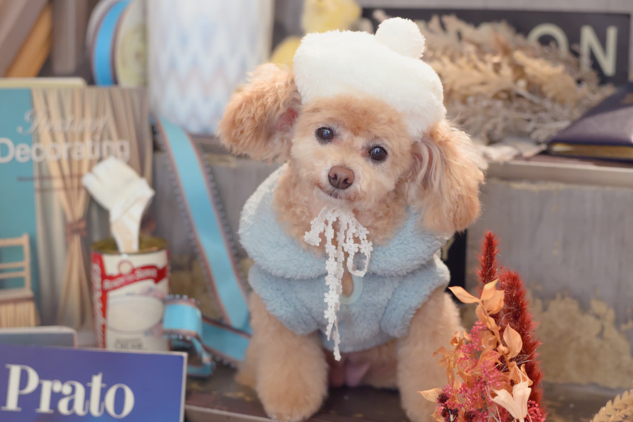 1172くまリボンボアジャケット