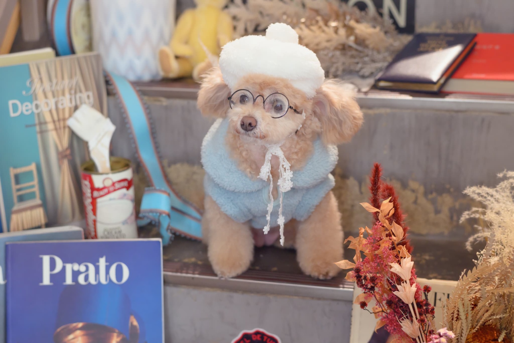 AC-043 アイウエア