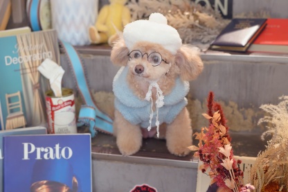 AC-043 アイウエア