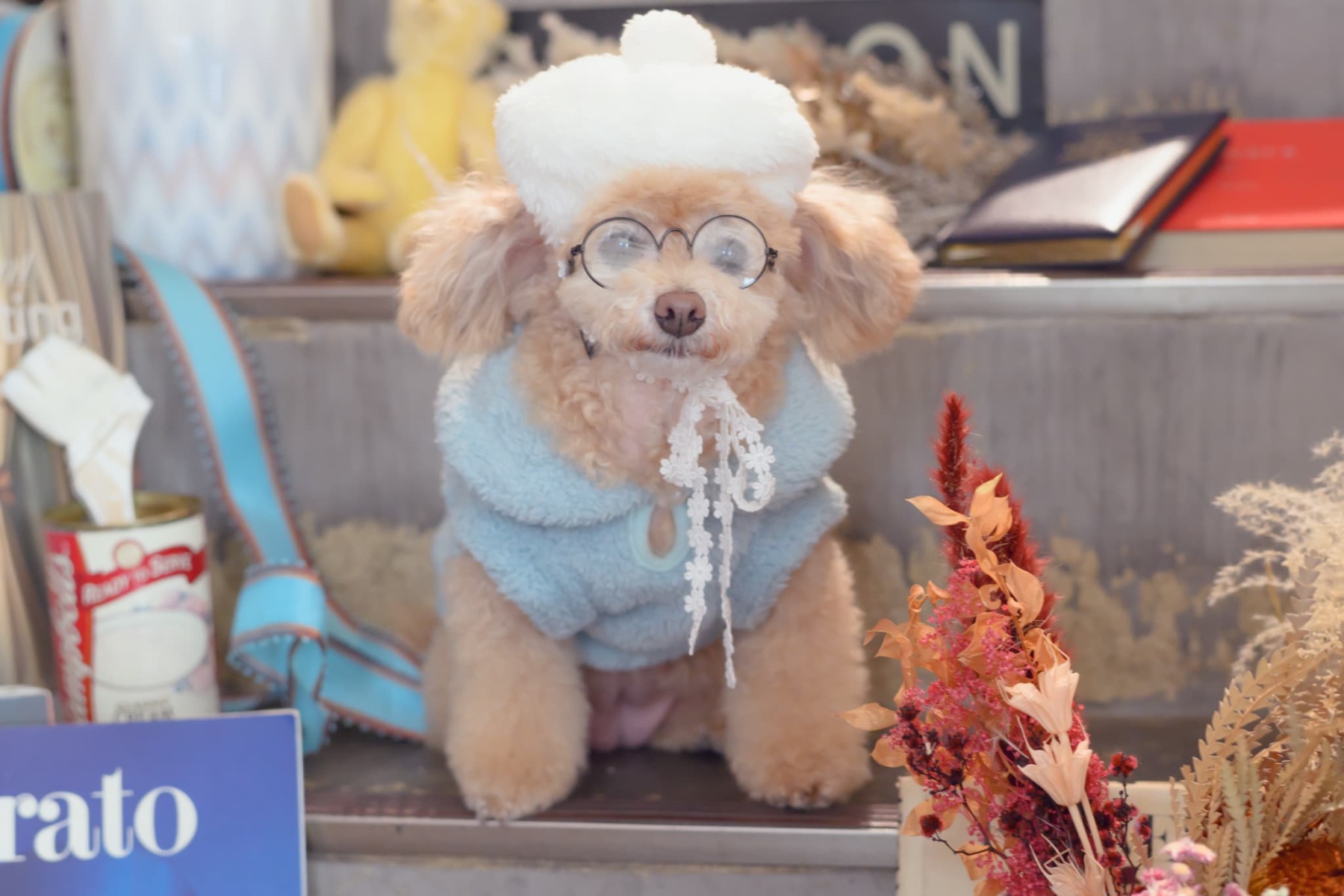 AC-043 アイウエア