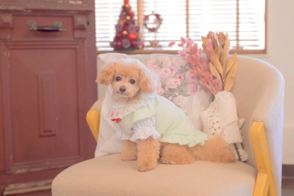 1171くまいちごフリースワンピース