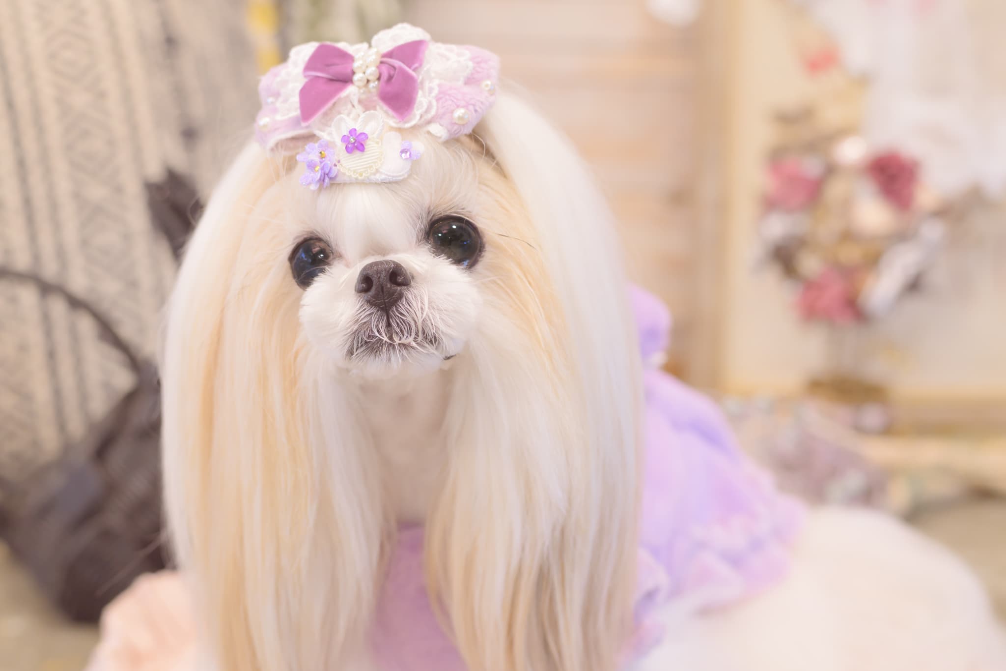 AC-045 うさぎデコレーションパッチン