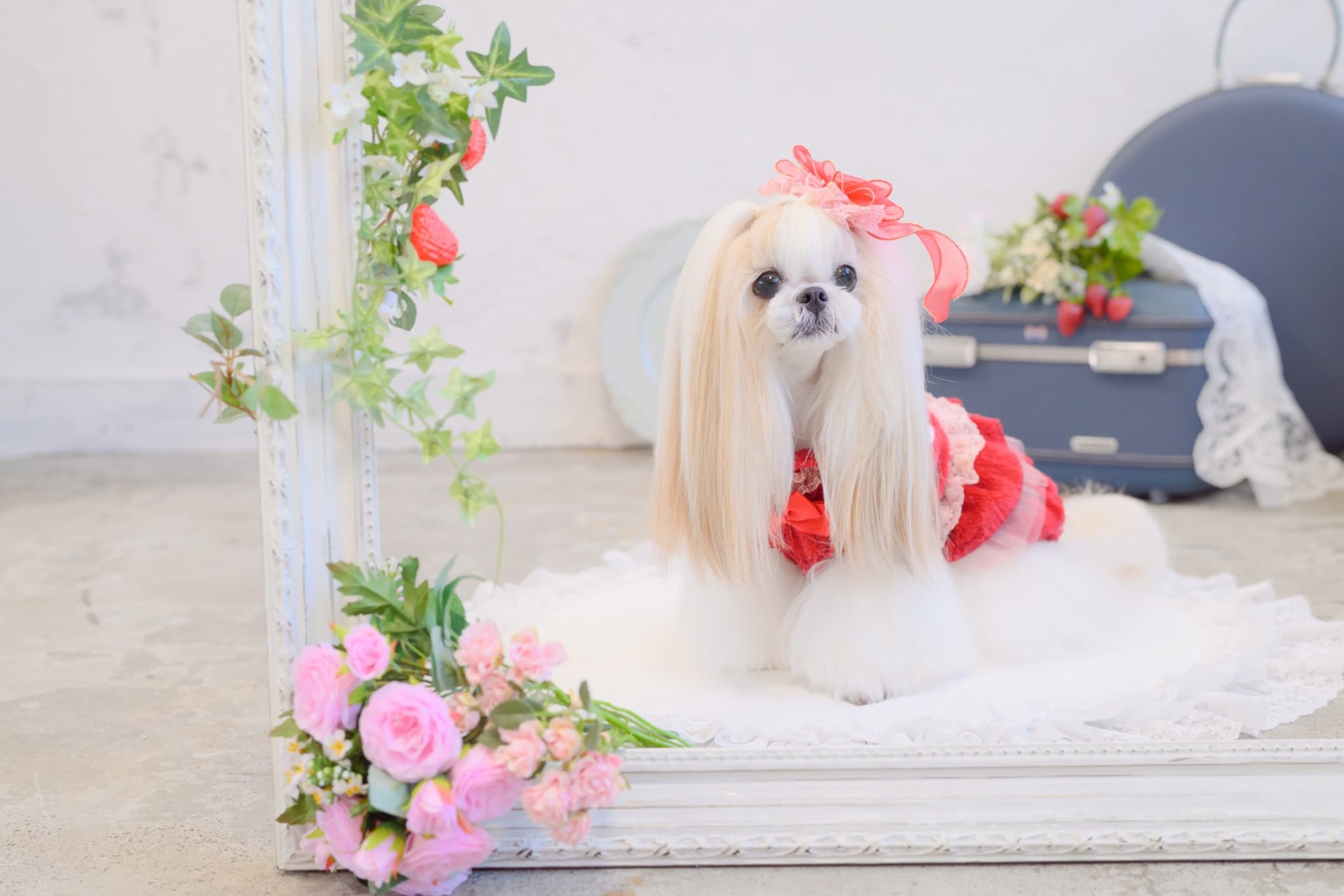 LB-322いちごオーガンジーフリルバレッタリボン レッド