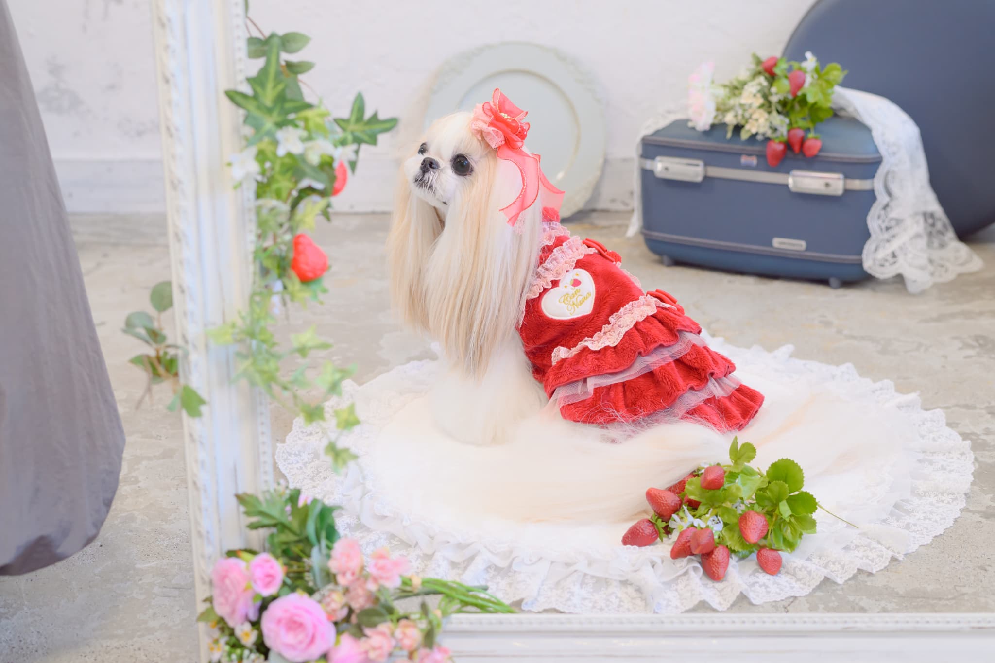 LB-322いちごオーガンジーフリルバレッタリボン レッド