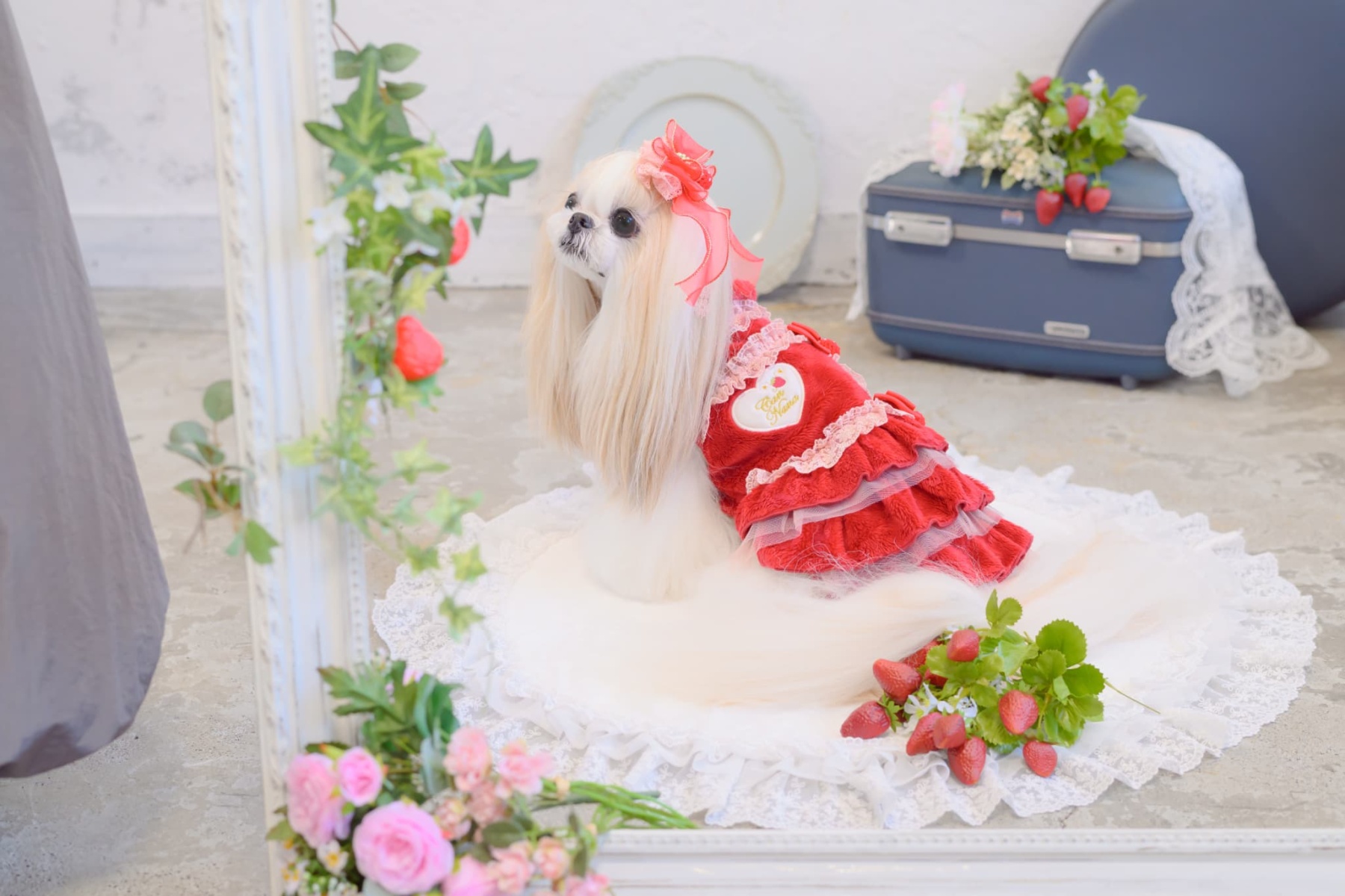 LB-322いちごオーガンジーフリルバレッタリボン レッド