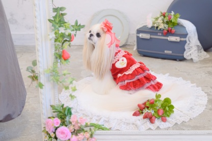 LB-322いちごオーガンジーフリルバレッタリボン レッド