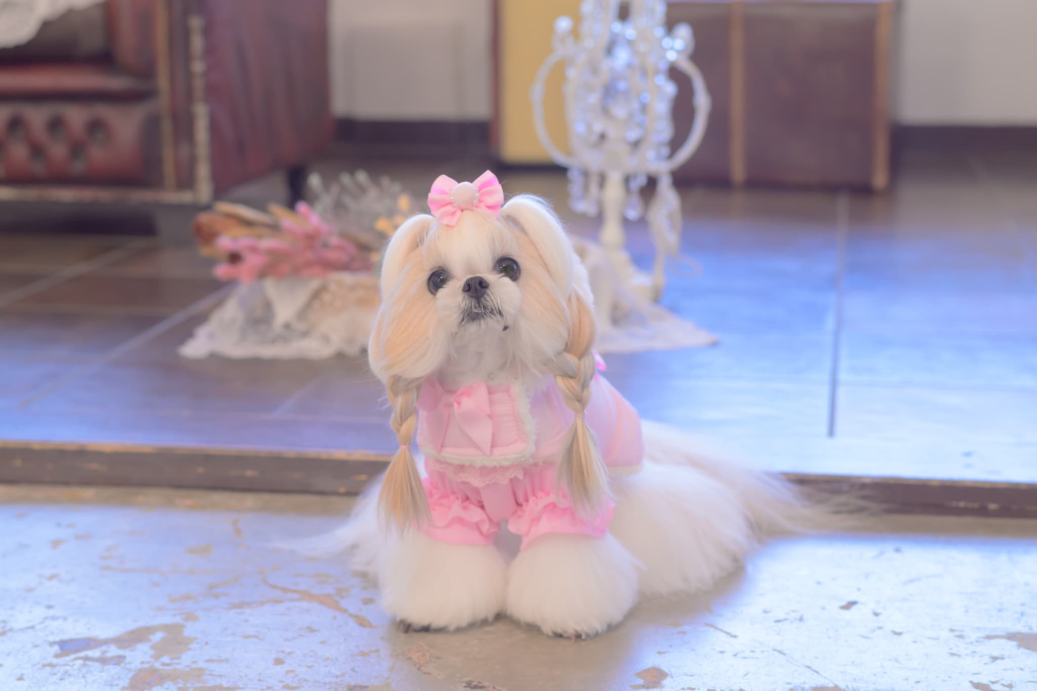 LB-325ぽんぽんバレッタリボン