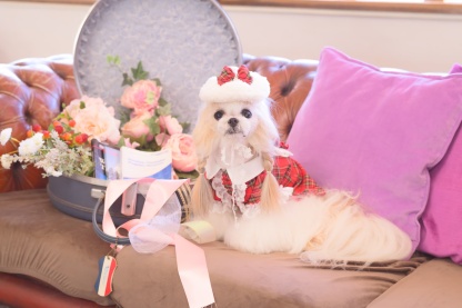 LH-015 ふわもこベレー帽