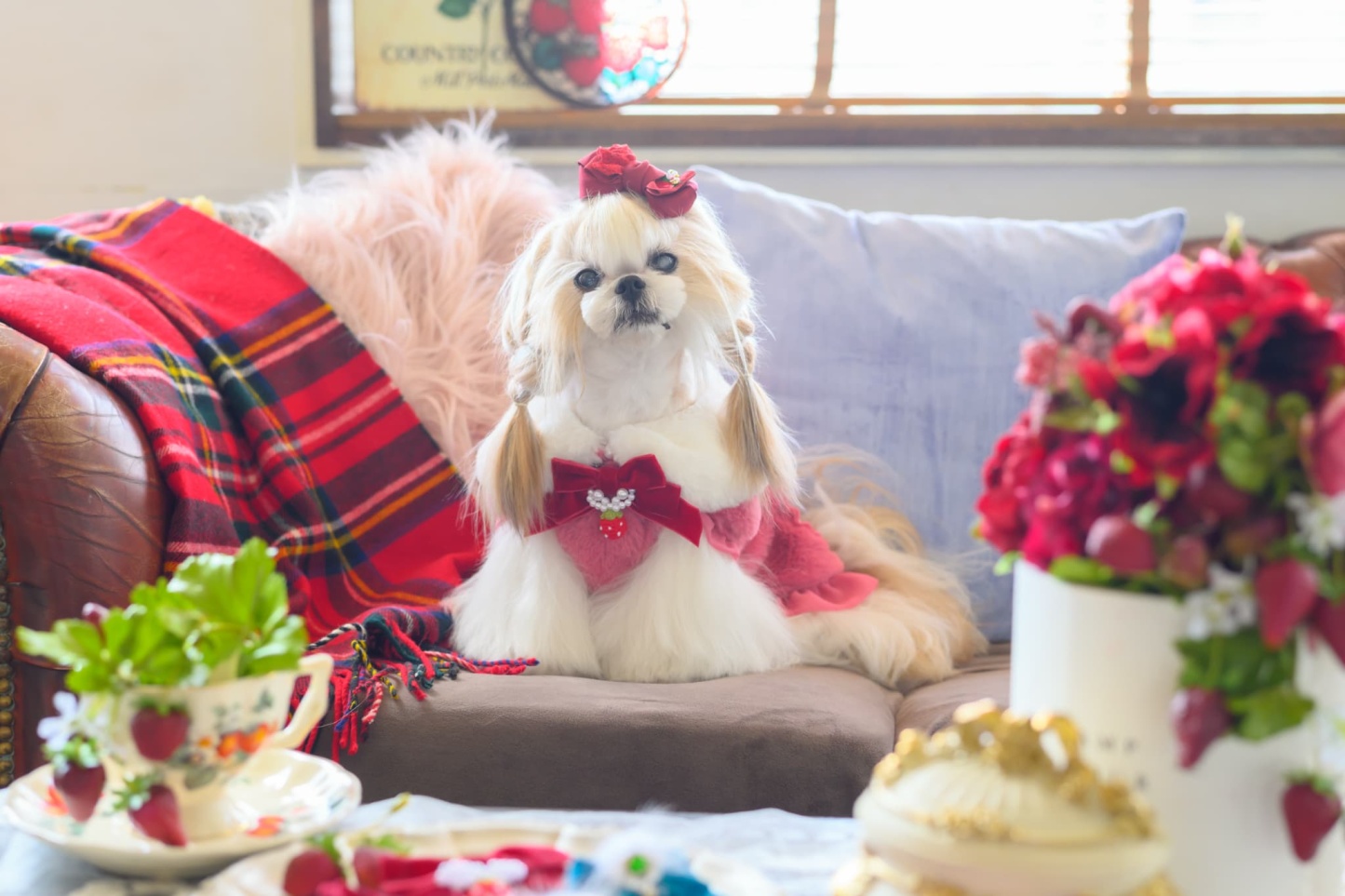 ブローチ付冬いちごファーコート