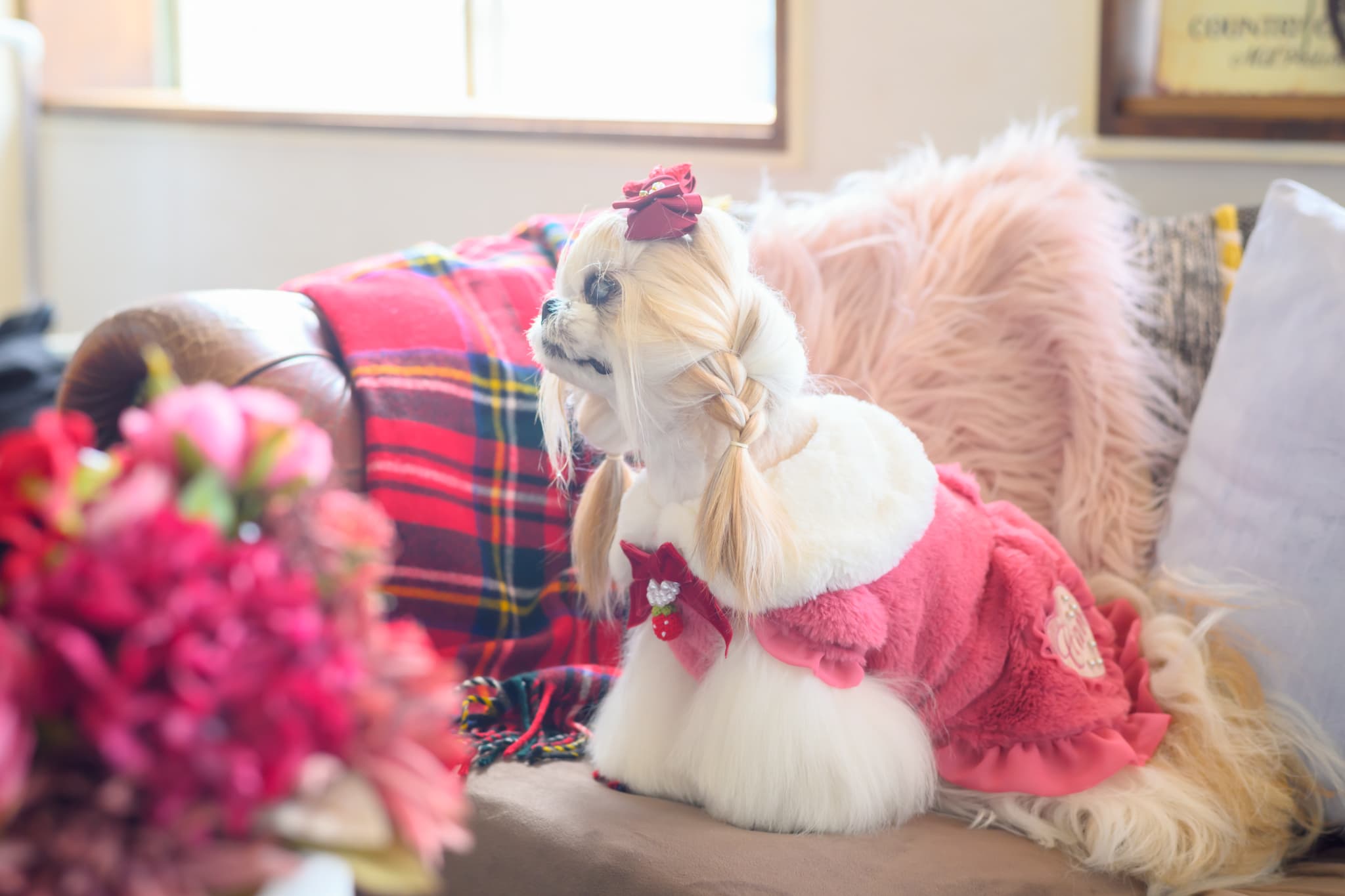 ブローチ付冬いちごファーコート