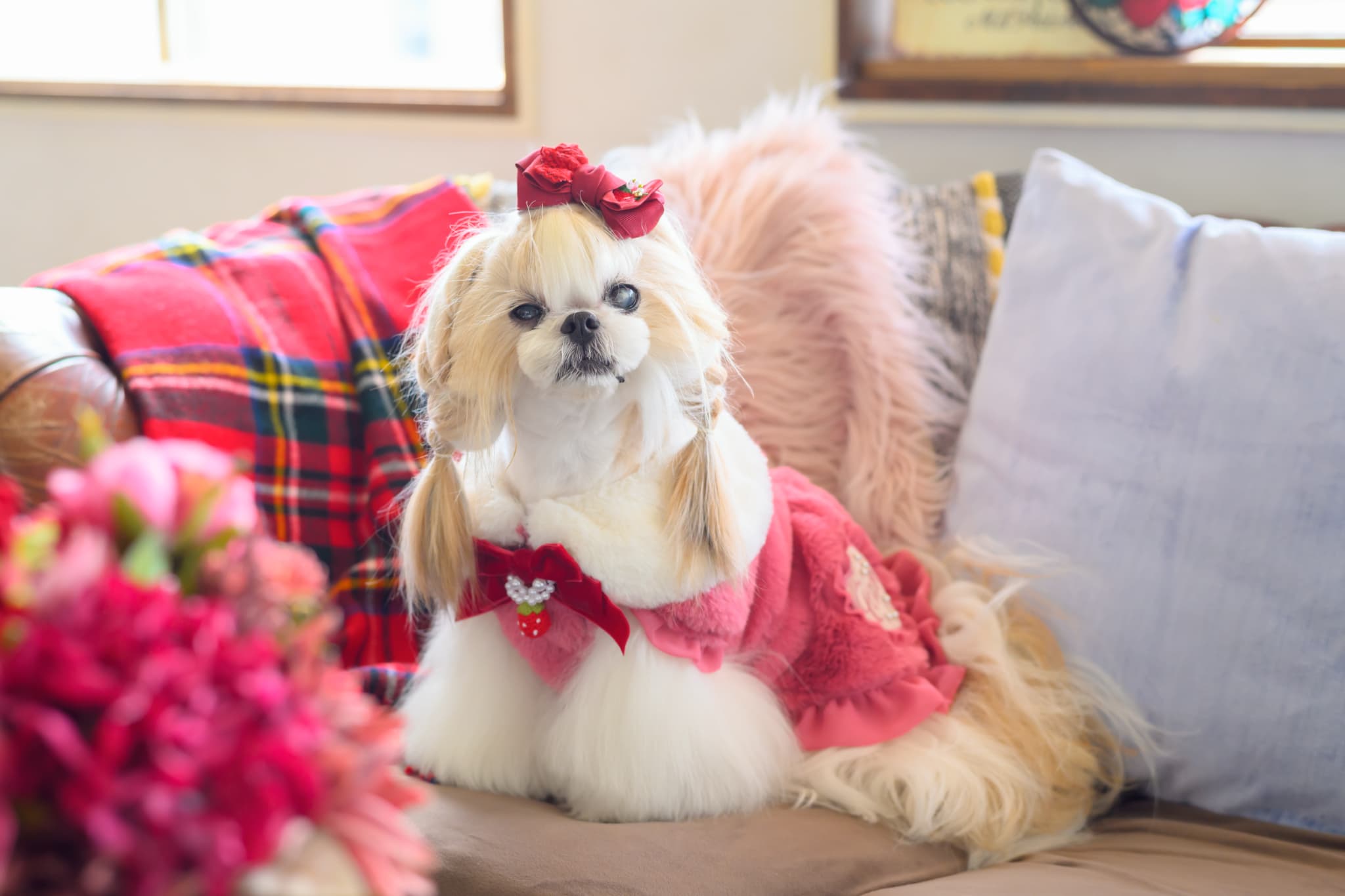 ブローチ付冬いちごファーコート