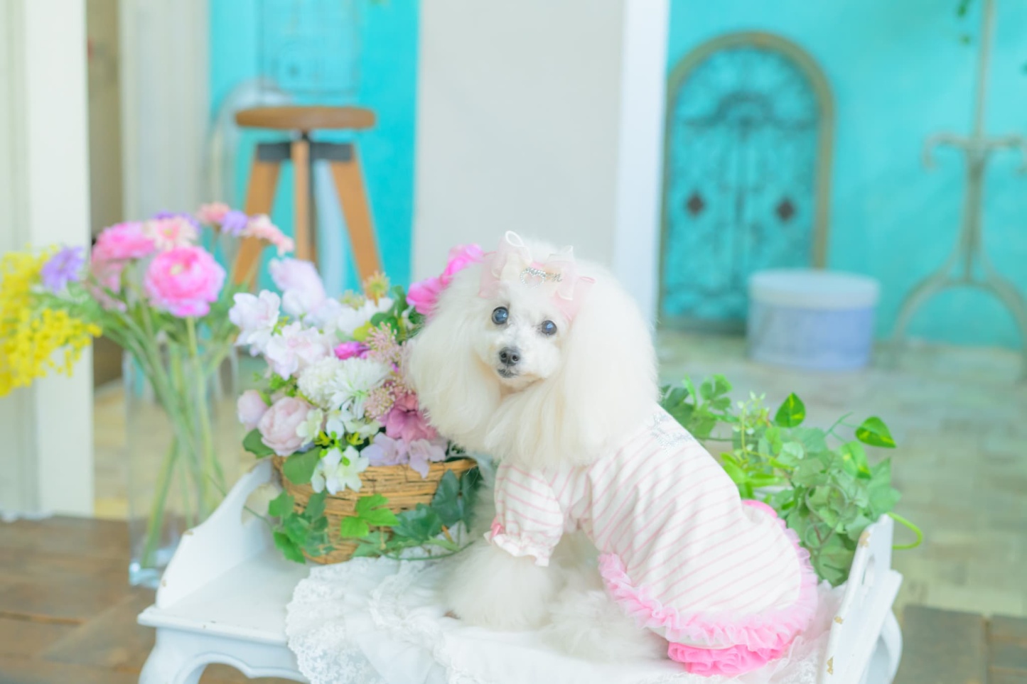 LB-337 ｵｰｶﾞﾝｼﾞｰ＆ｵｰﾌﾟﾝﾊｰﾄﾊﾞﾚｯﾀ