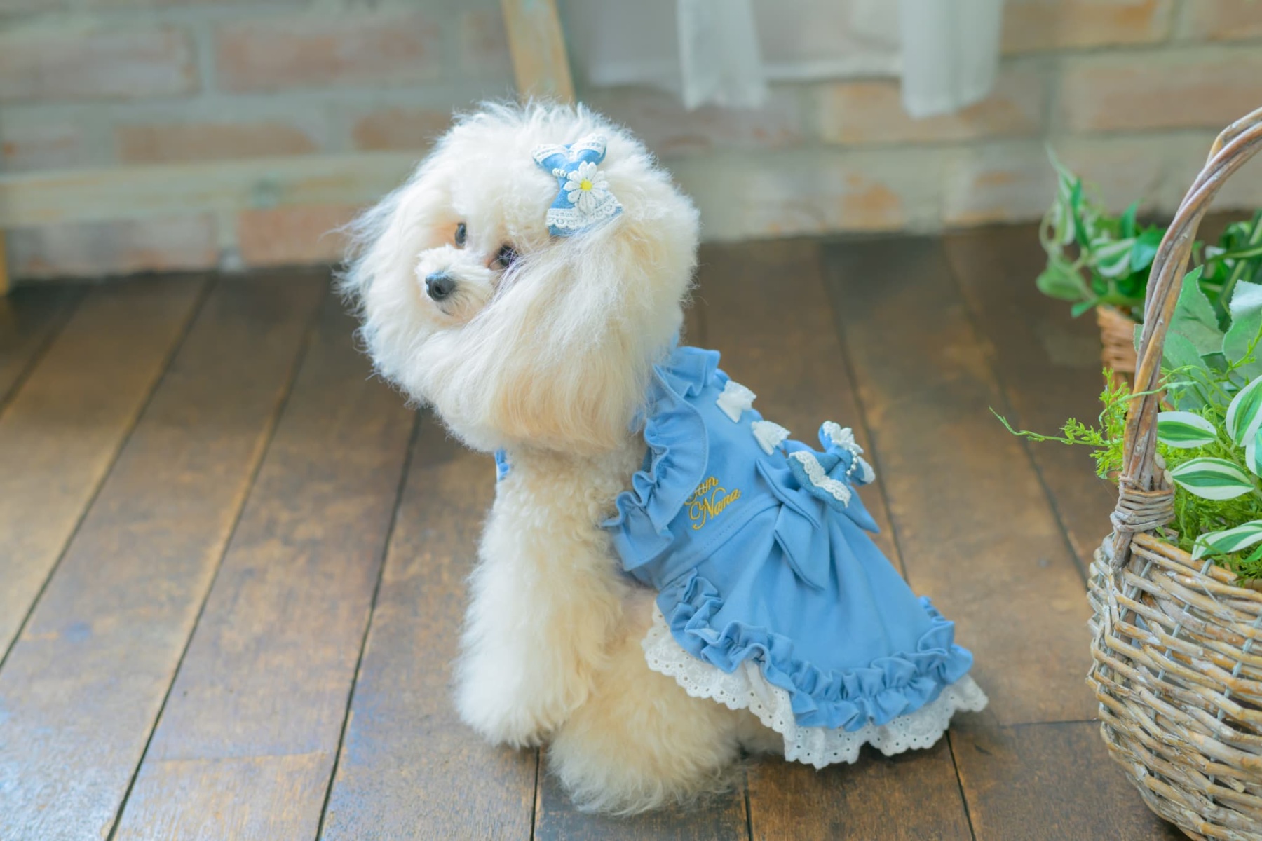 LB-336 ﾃﾞﾆﾑ＆ﾌﾗﾜｰ ﾐﾆﾊﾞﾚｯﾀ