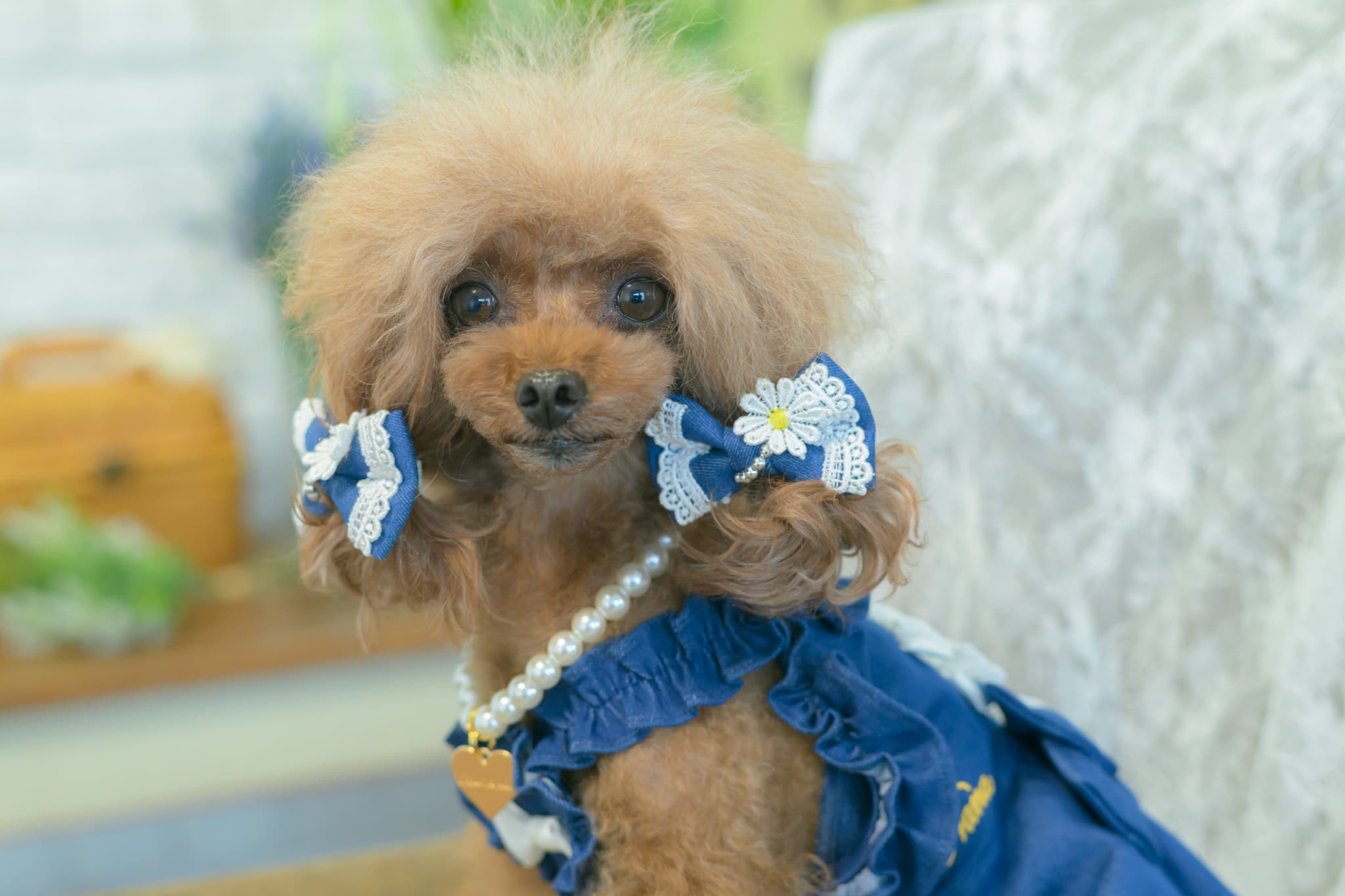 LB-336 ﾃﾞﾆﾑ＆ﾌﾗﾜｰ ﾐﾆﾊﾞﾚｯﾀ