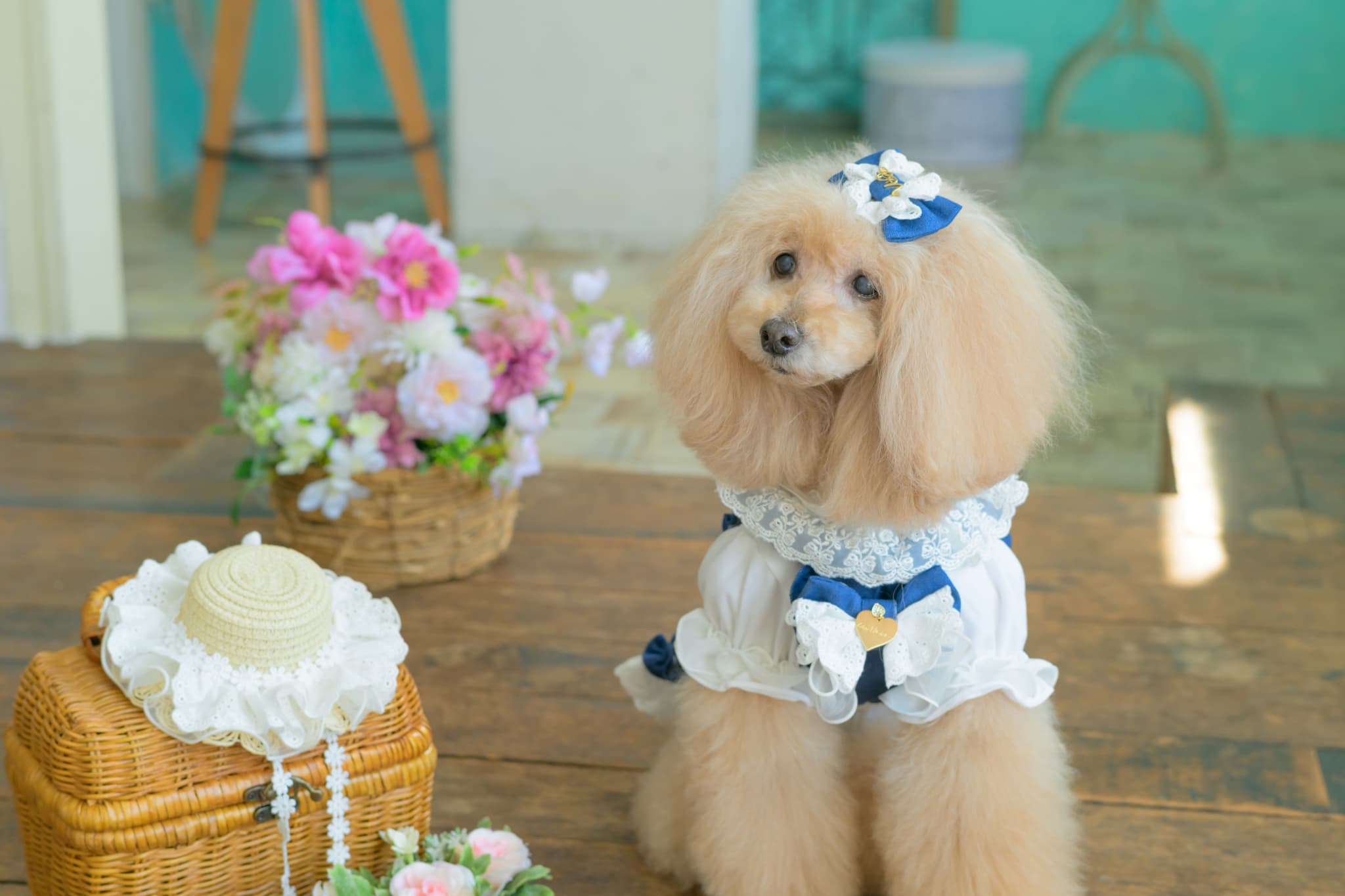 LH-016ﾃﾞﾆﾑﾊﾞﾚｯﾀ付麦わら帽子