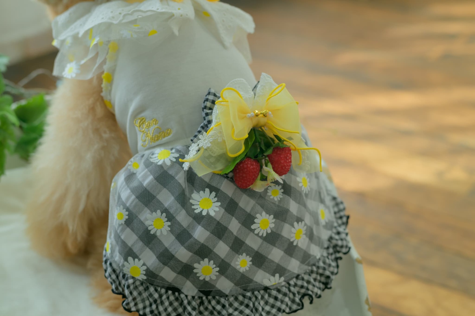 1154 ﾌﾗﾜｰｷﾞﾝｶﾞﾑﾜﾝﾋﾟｰｽ ﾌﾞﾗｯｸ