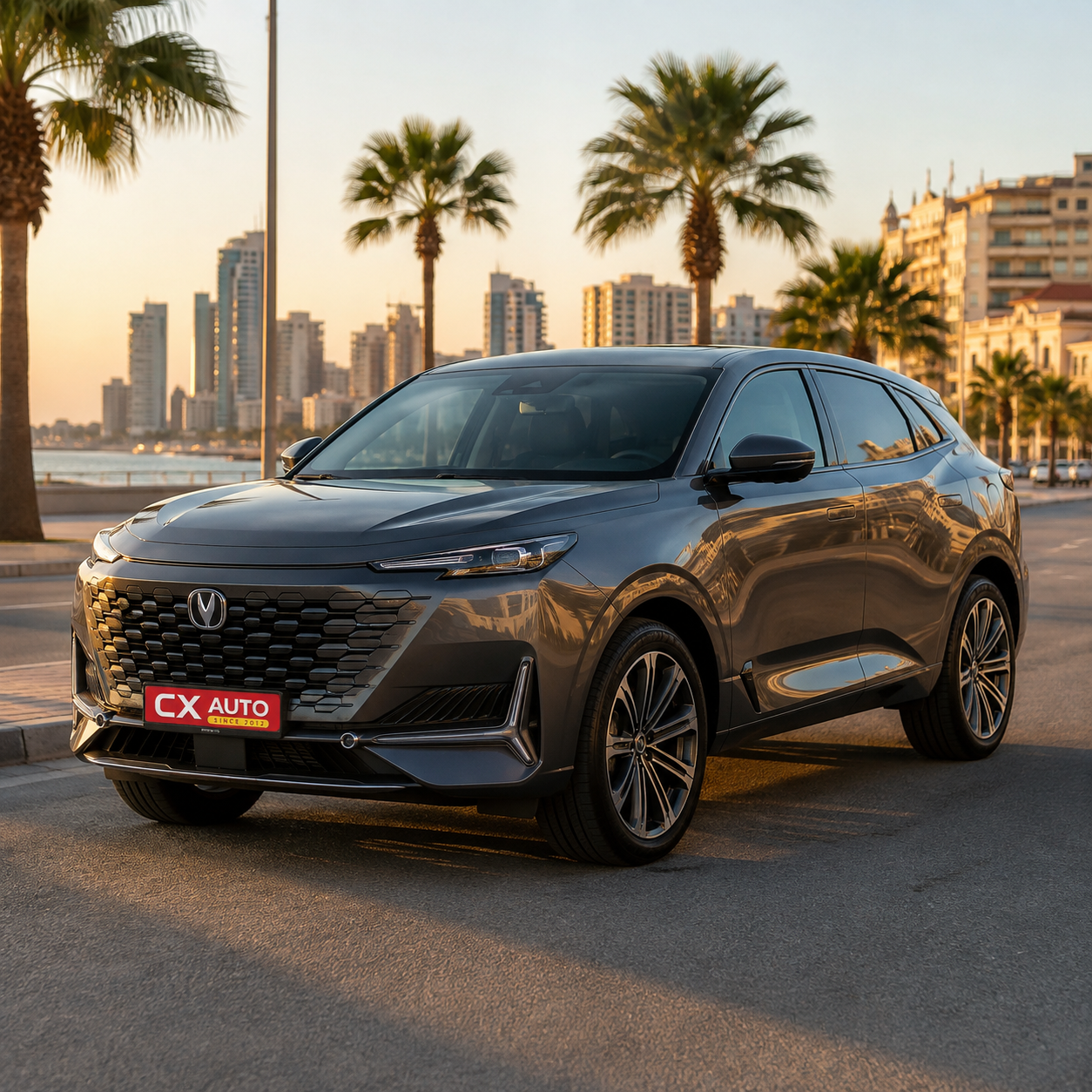 Used Car - New energy electric vehicles