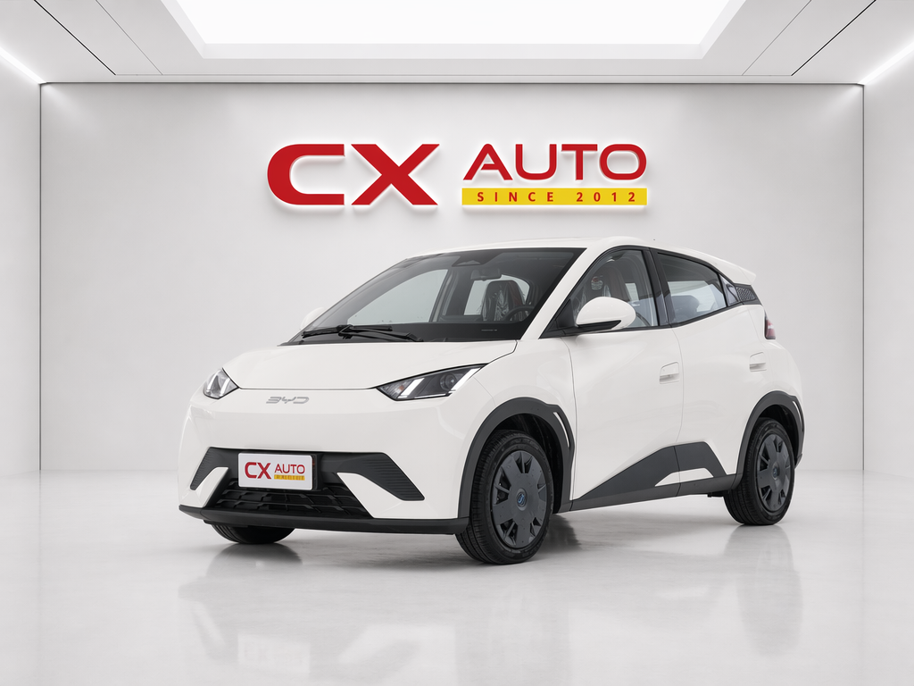  BYD Seagull – Intelligent Driving Edition (305km Vitality Version) 