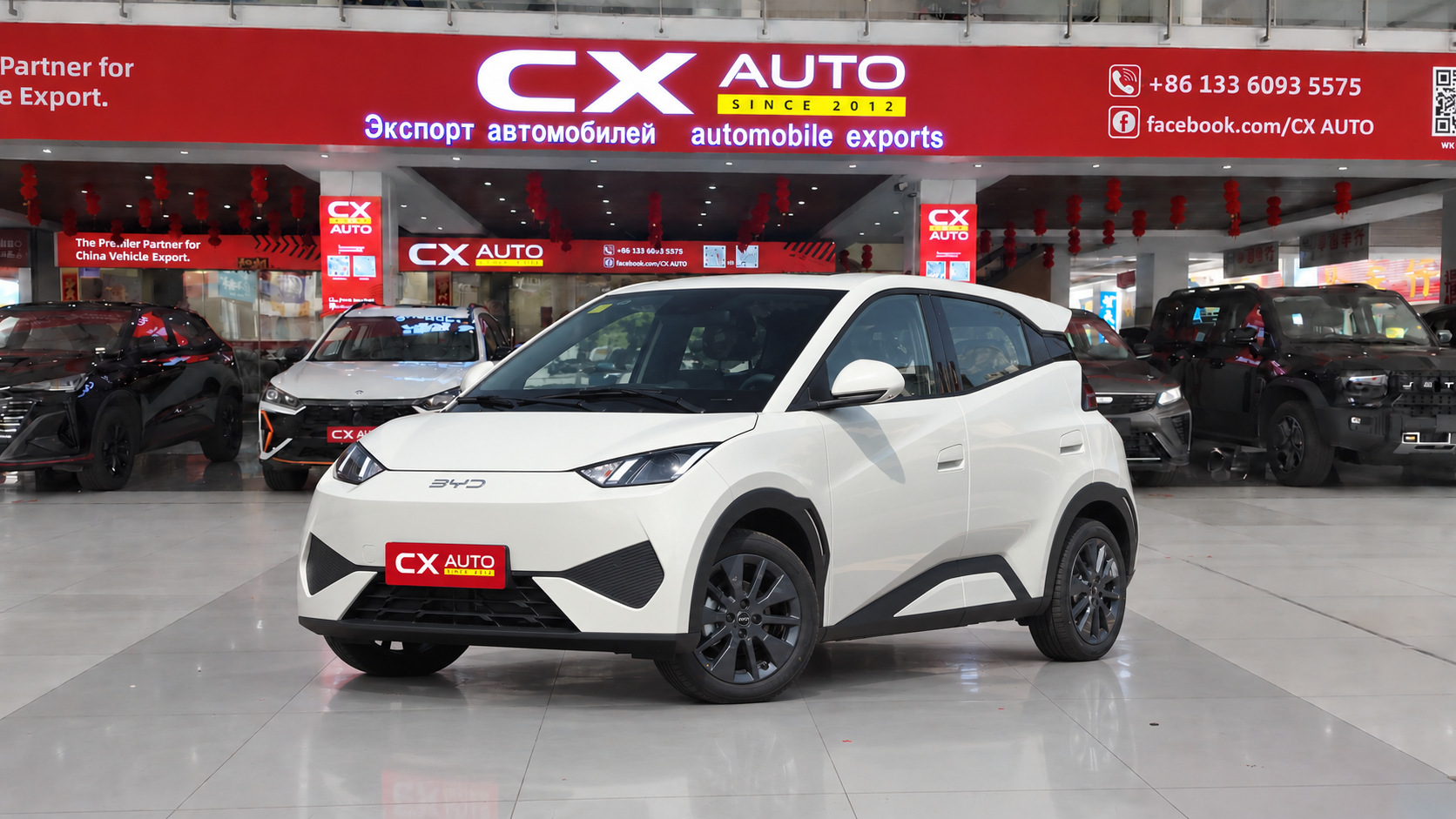 BYD Seagull – Intelligent Driving Edition (305km Vitality Version) | CxAuto Export