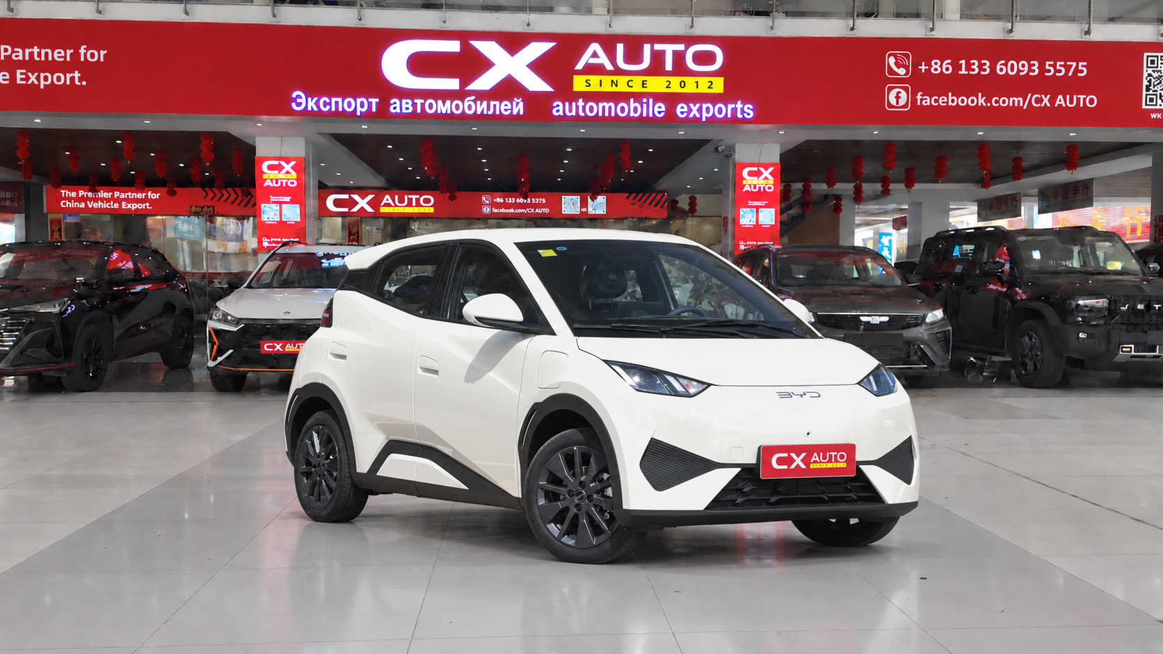 BYD Seagull – Intelligent Driving Edition (305km Vitality Version) | CxAuto Export