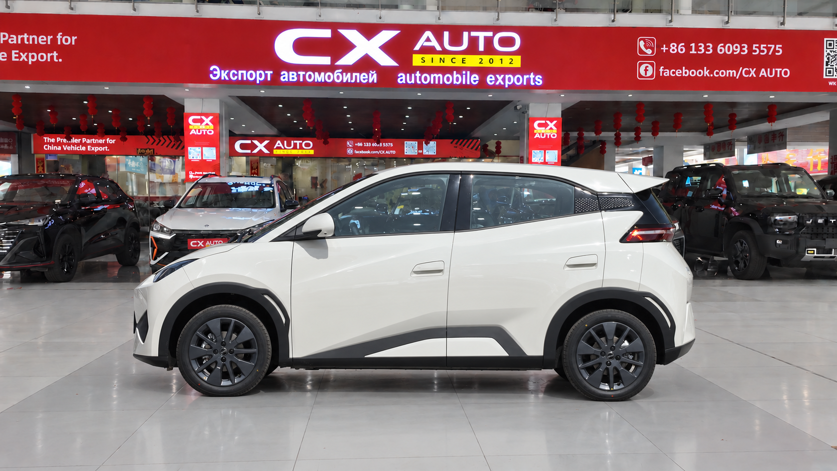 BYD Seagull – Intelligent Driving Edition (305km Vitality Version) | CxAuto Export