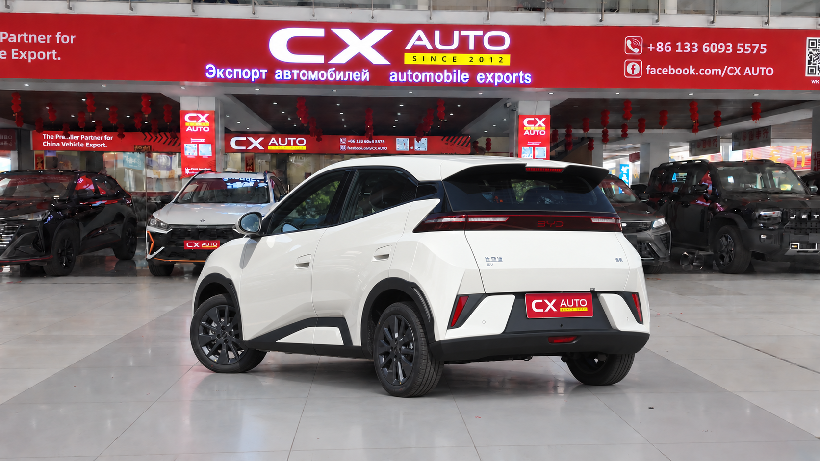 BYD Seagull – Intelligent Driving Edition (305km Vitality Version) | CxAuto Export