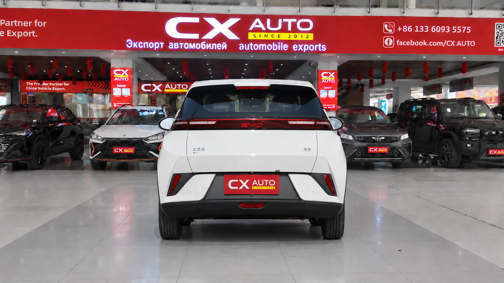 BYD Seagull – Intelligent Driving Edition (305km Vitality Version) | CxAuto Export