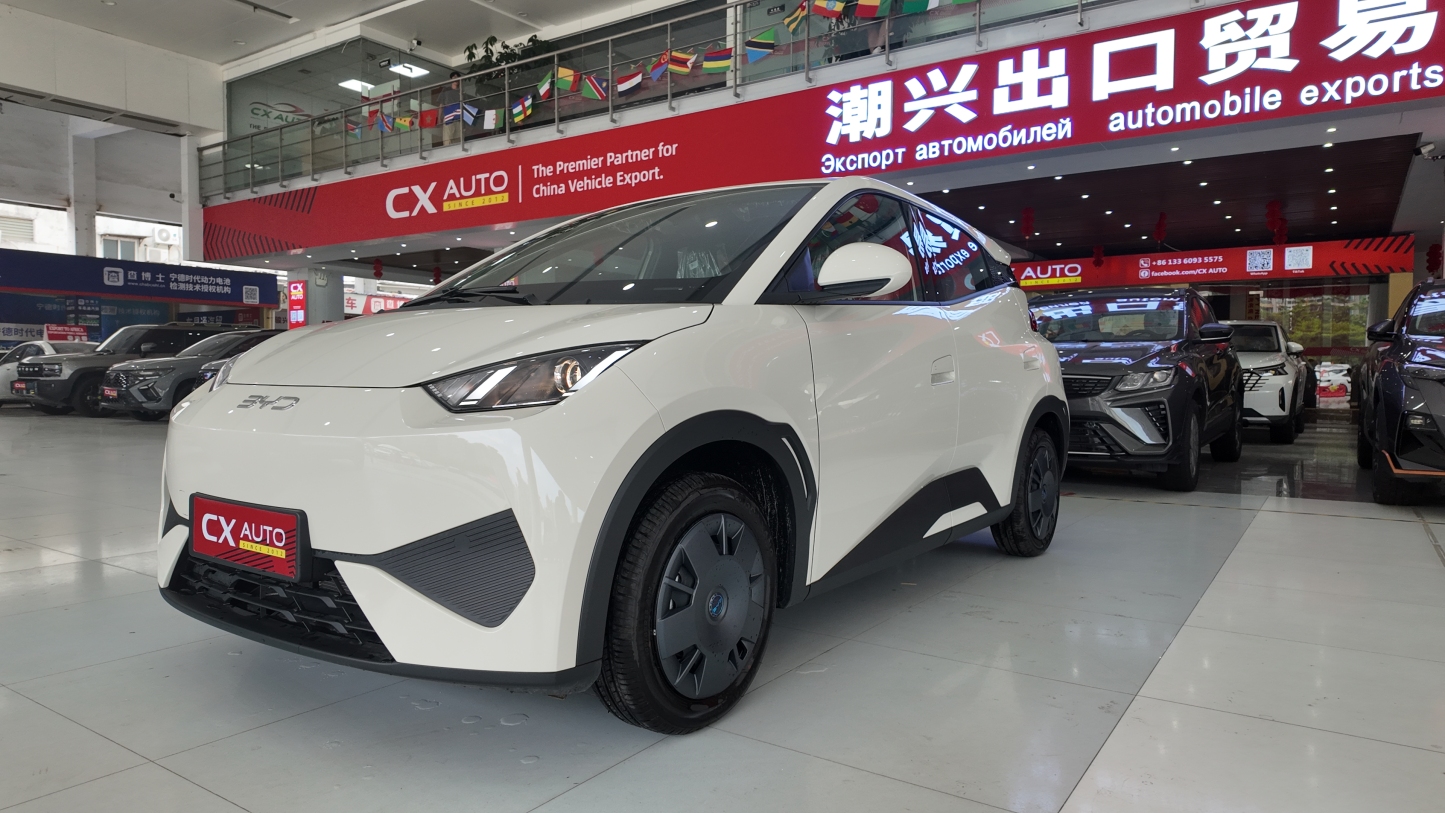  BYD Seagull – Intelligent Driving Edition (305km Vitality Version) 
