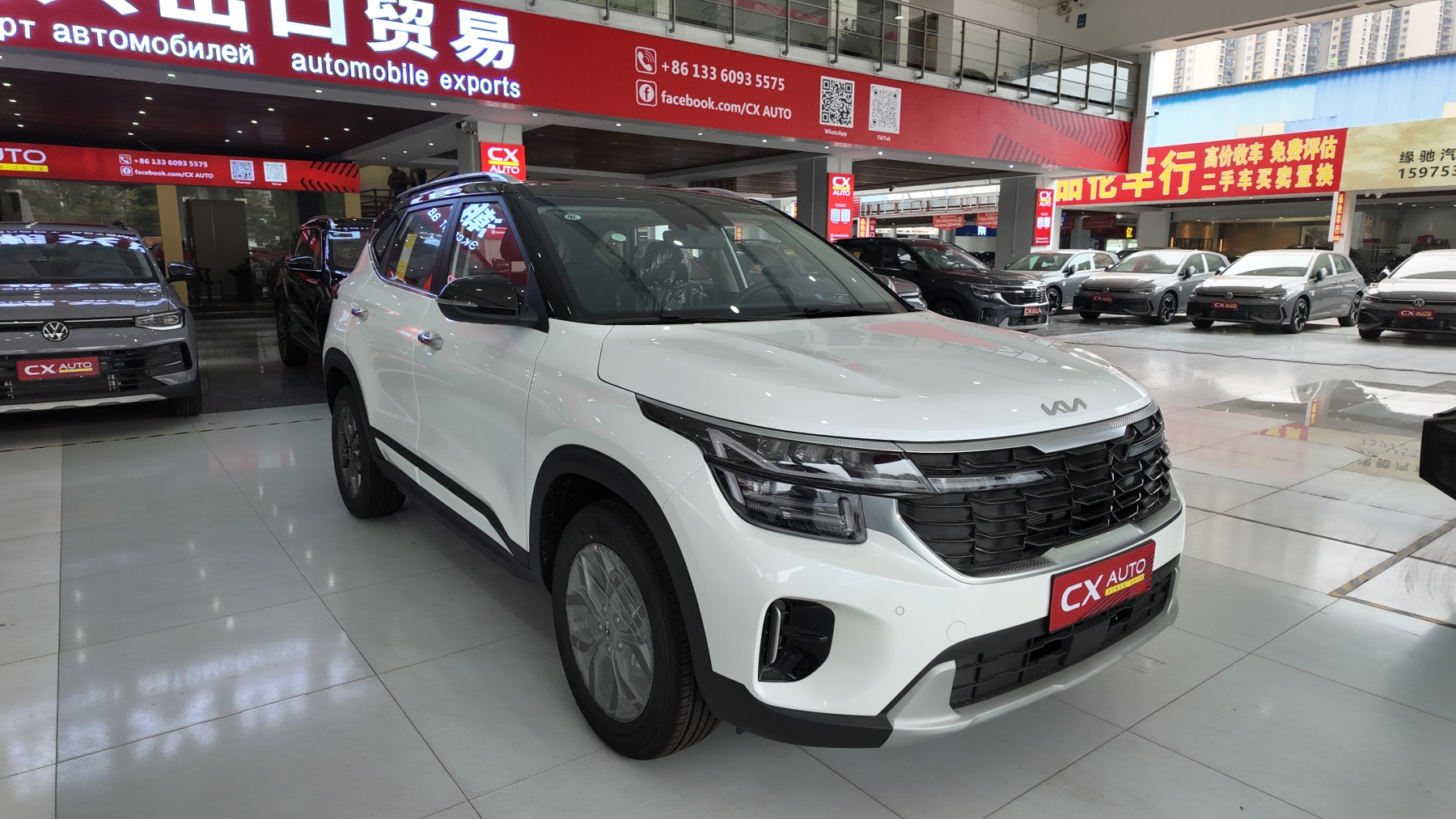 赛图斯 白色黑顶