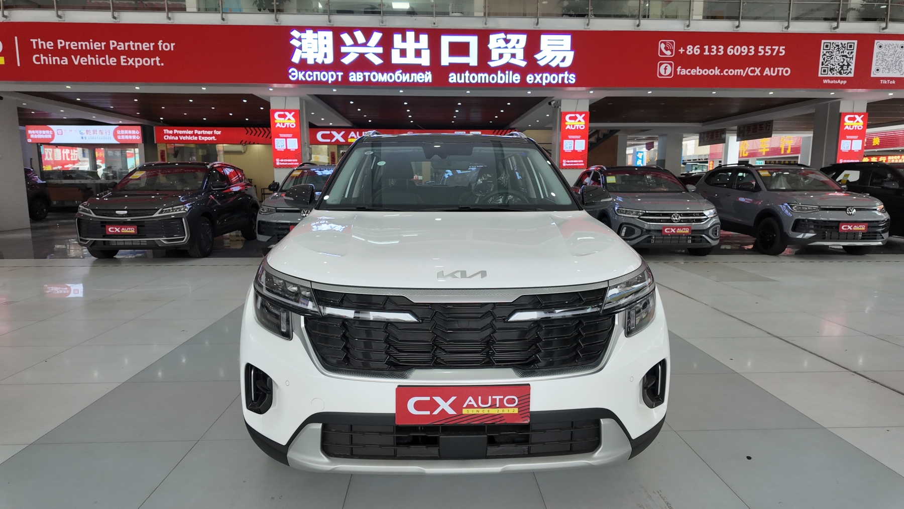 赛图斯 白色黑顶