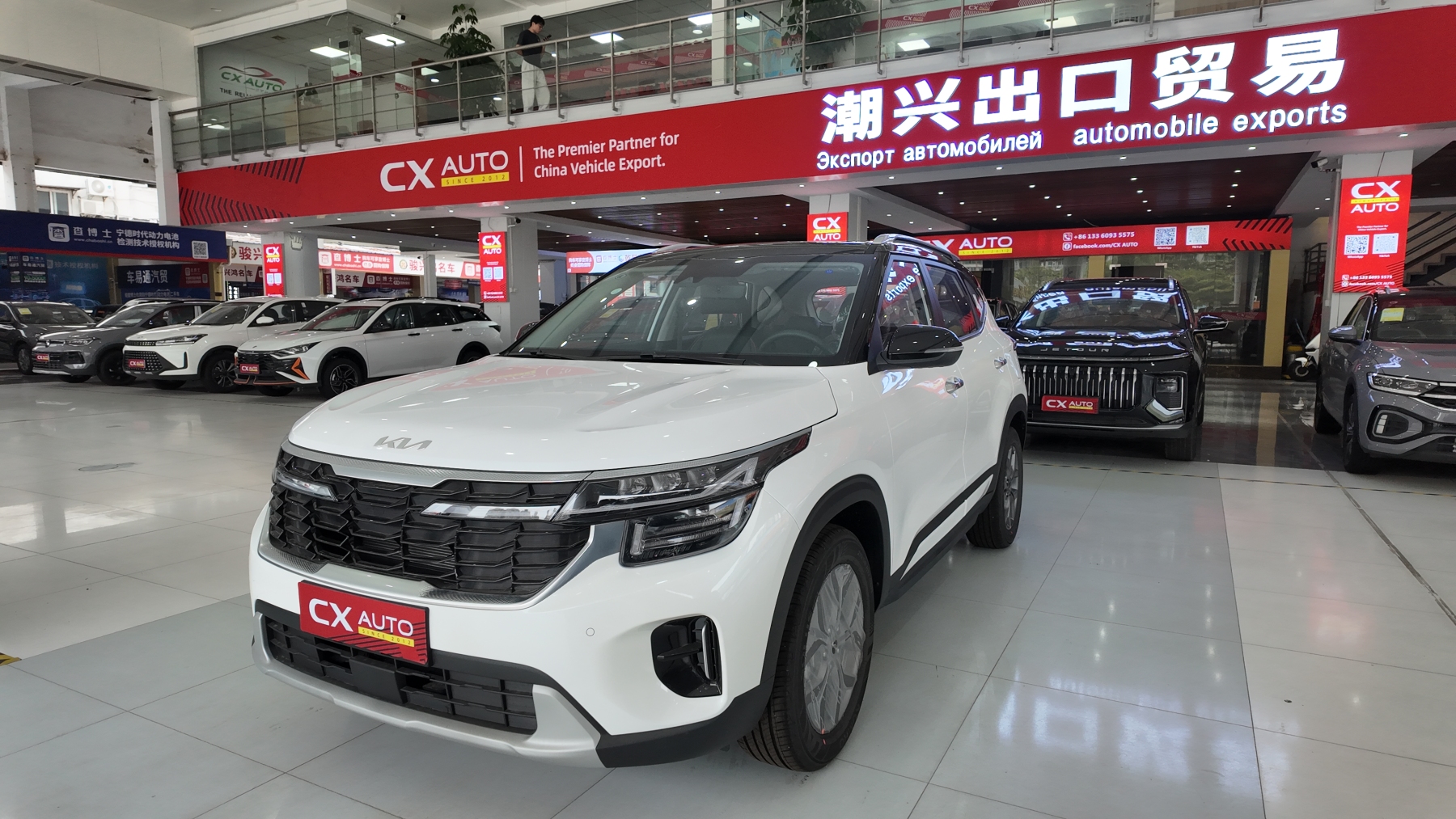 赛图斯 白色黑顶