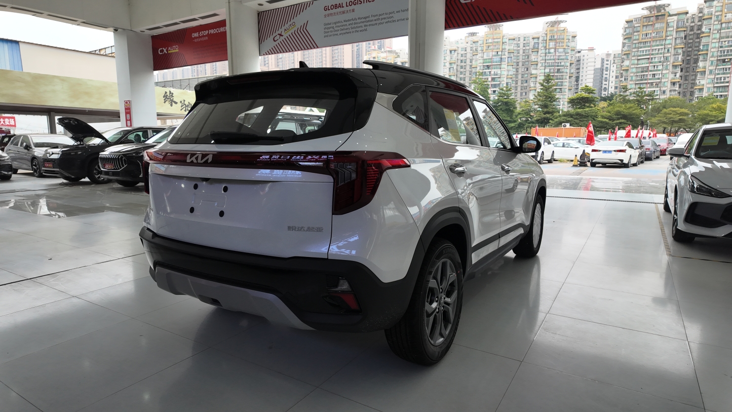 赛图斯 白色黑顶