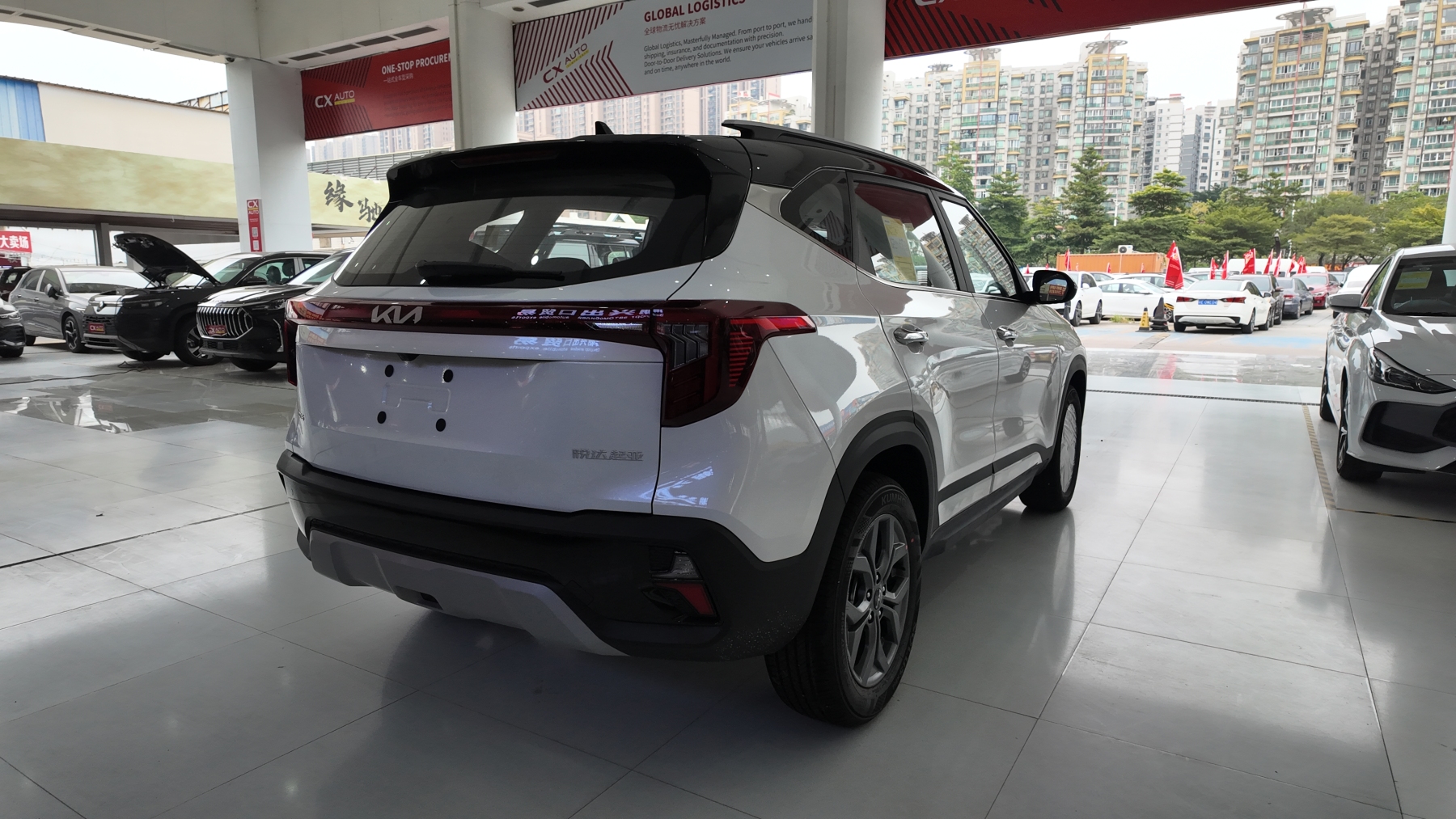 赛图斯 白色黑顶