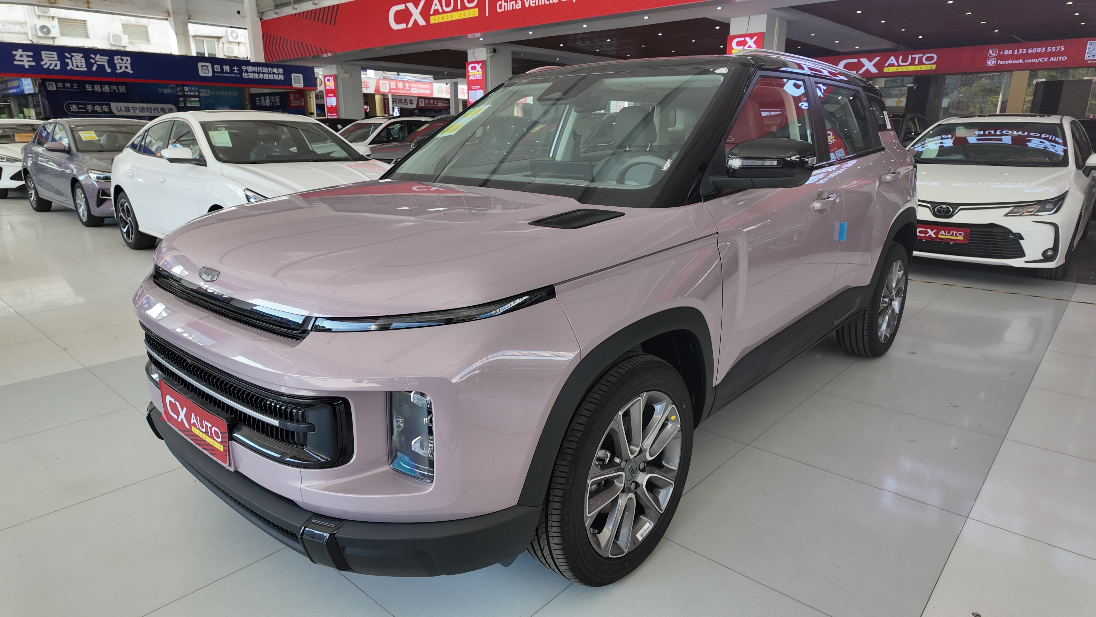 ICON 粉色 巧克力醇臻版 958