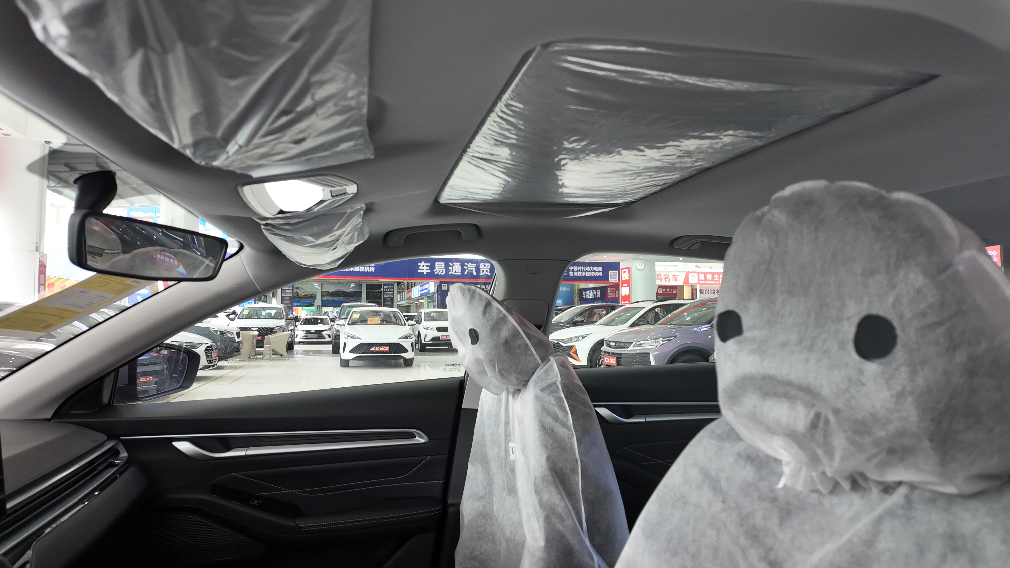 帝豪 手动 变色龙