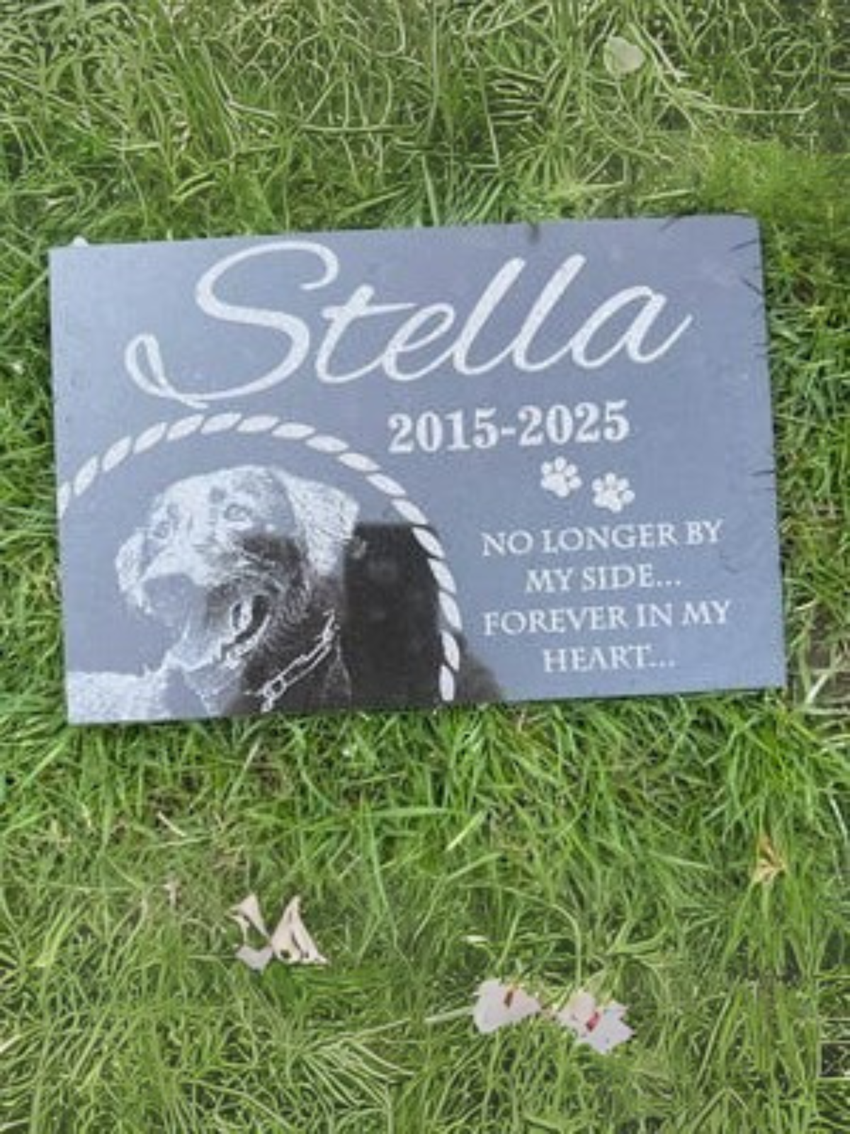 1 pcs Pet Memorial Stone, Dog Memorial Stone, Personalized Pet Memorial Gift, Dog Memorial Gift, Pet Headstone, Pet Grave Stone, Pet Grave Marker