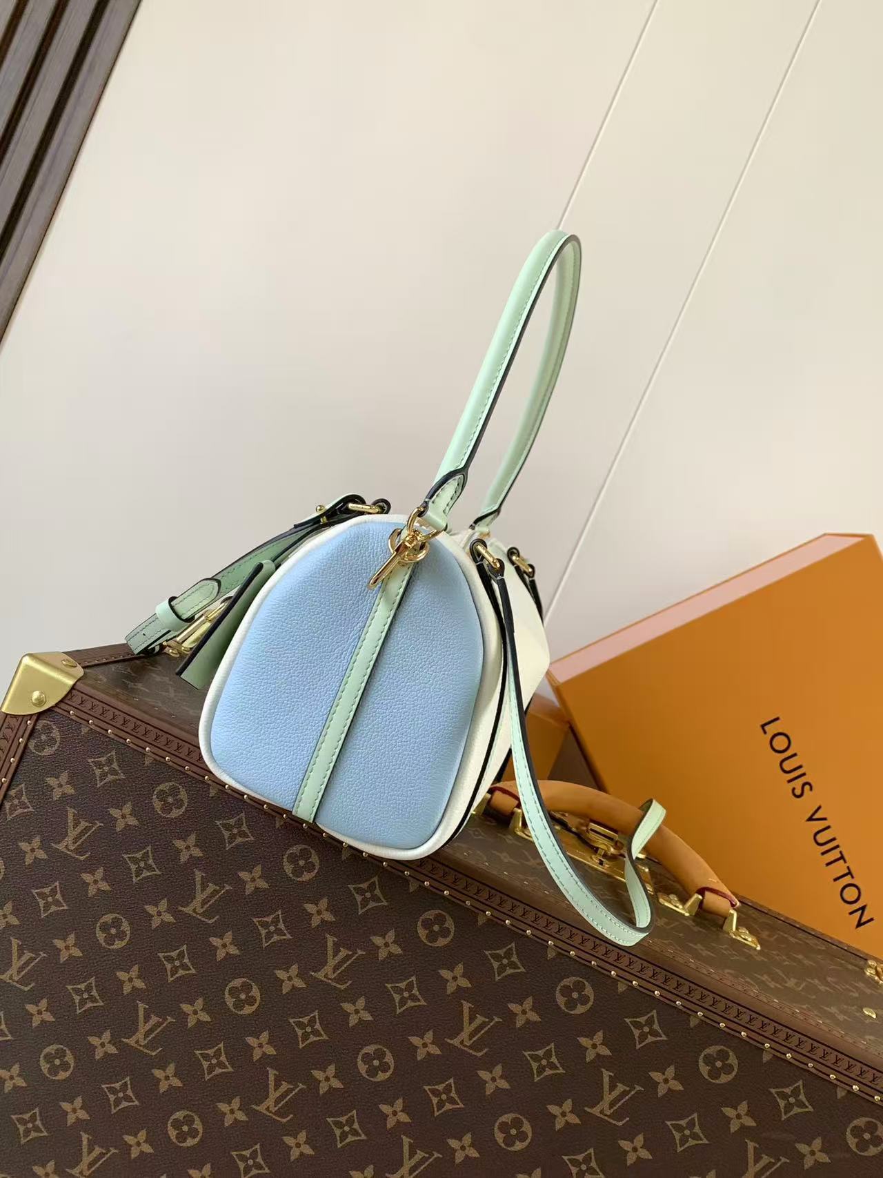 Louis vuitton ルイ・ヴィトン バッグ